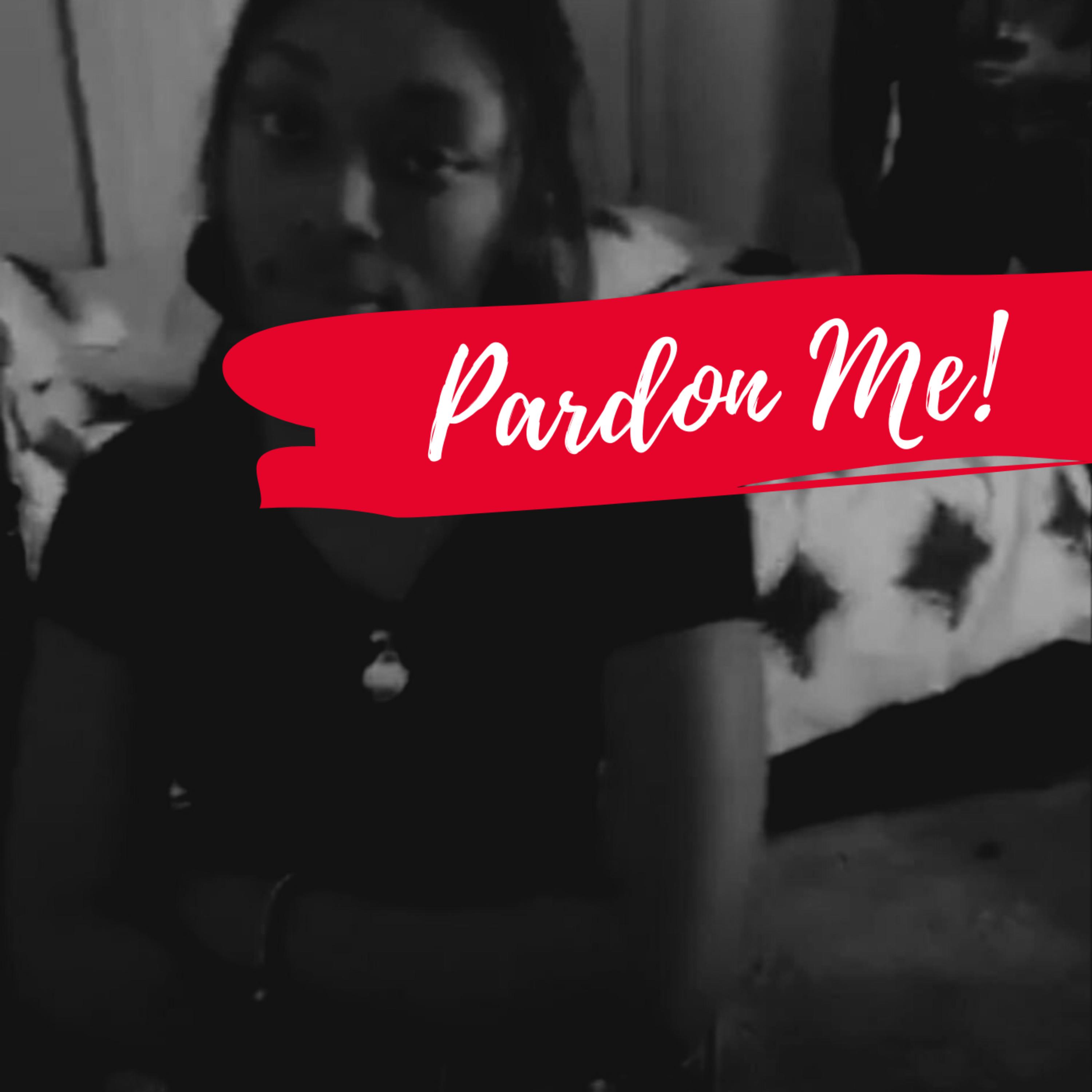 Pardon Me artwork