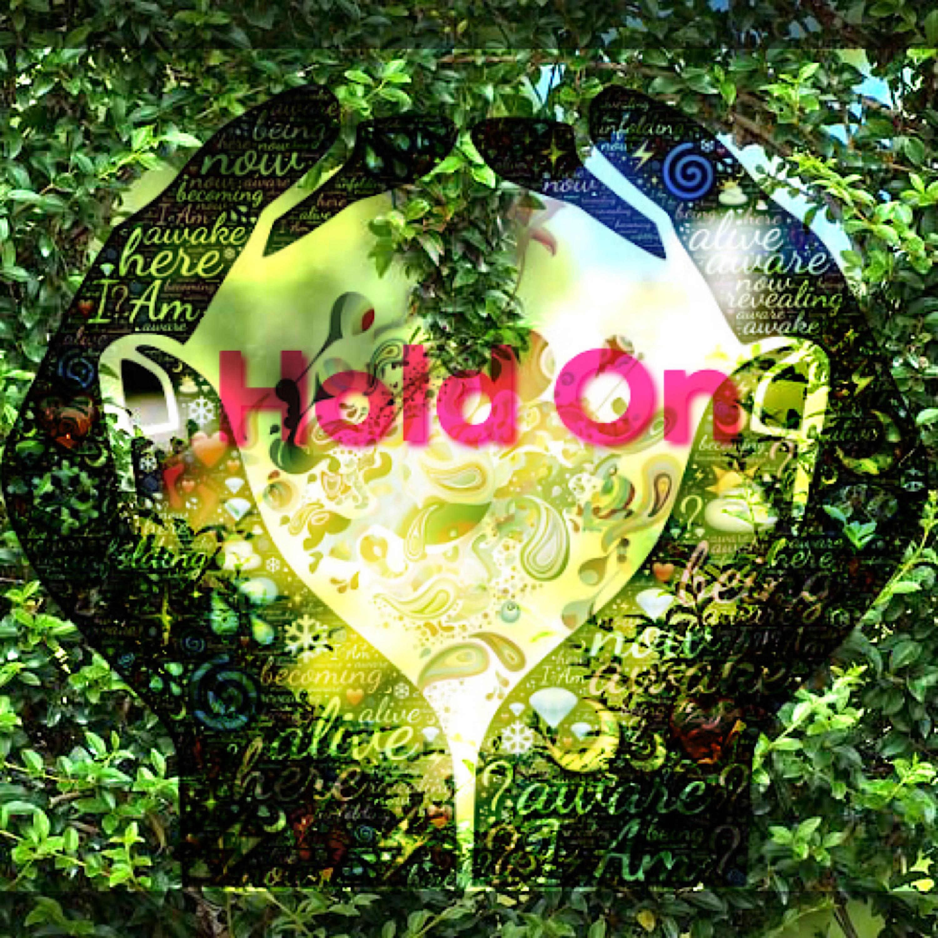 Hold On artwork