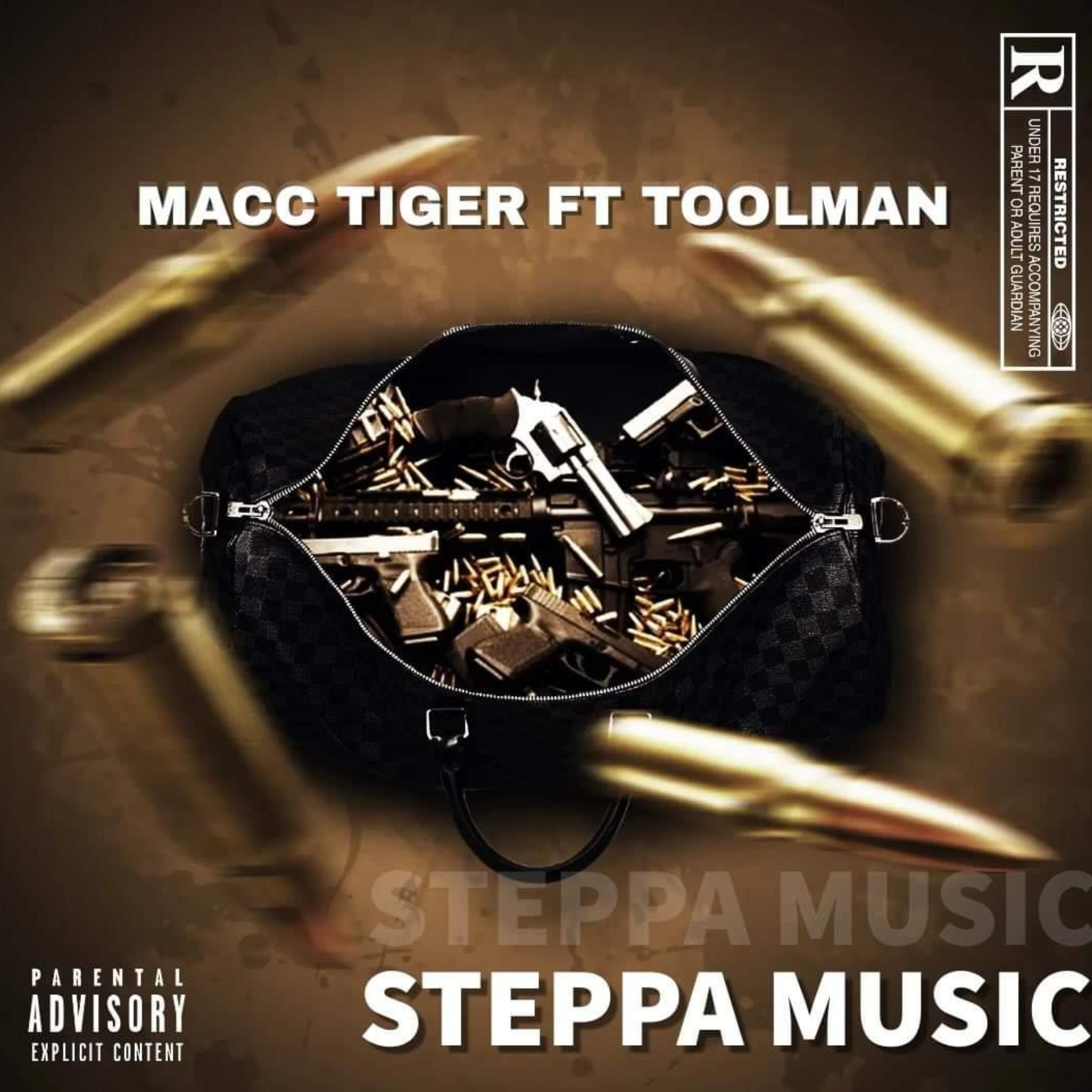 Steppa Music artwork