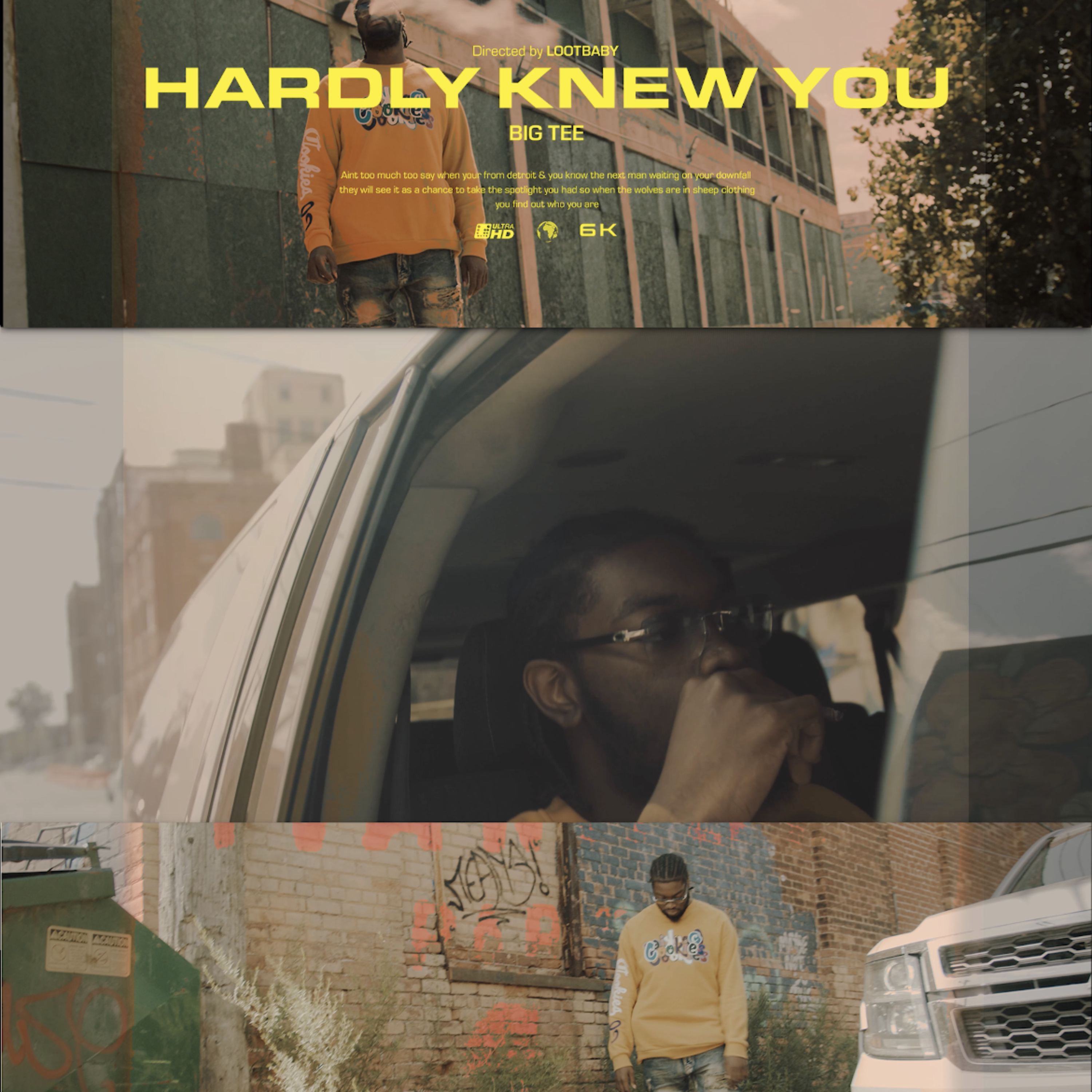 Hardly Knew You artwork