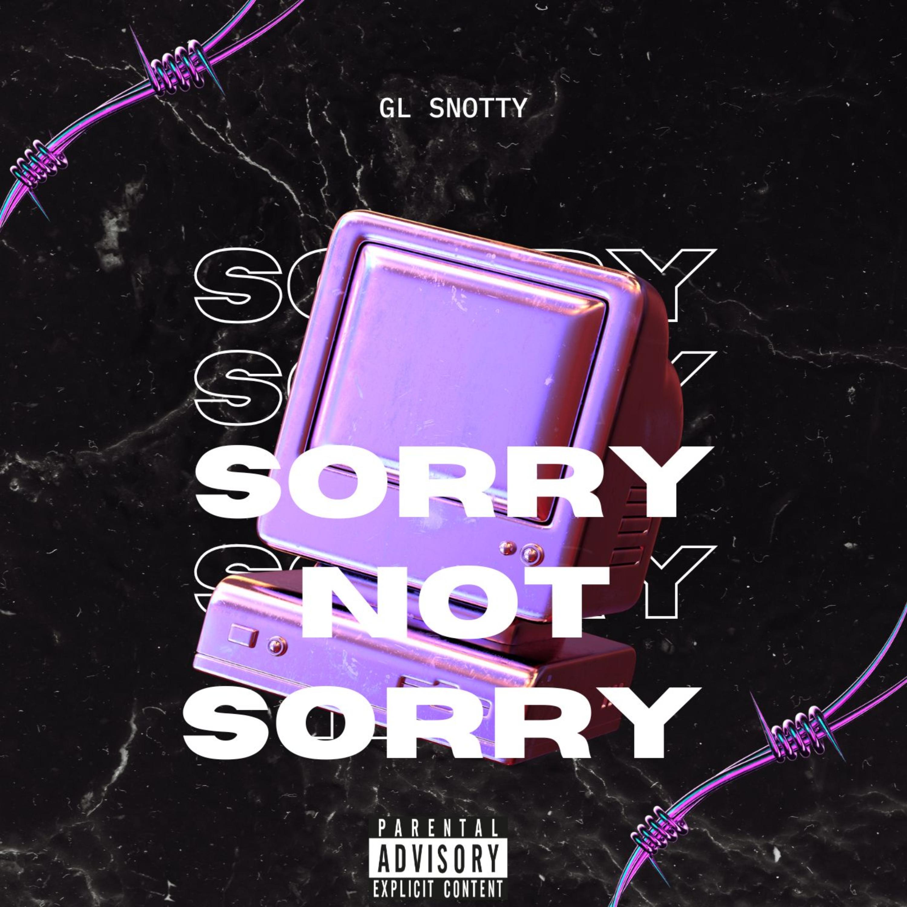 Sorry Not Sorry artwork