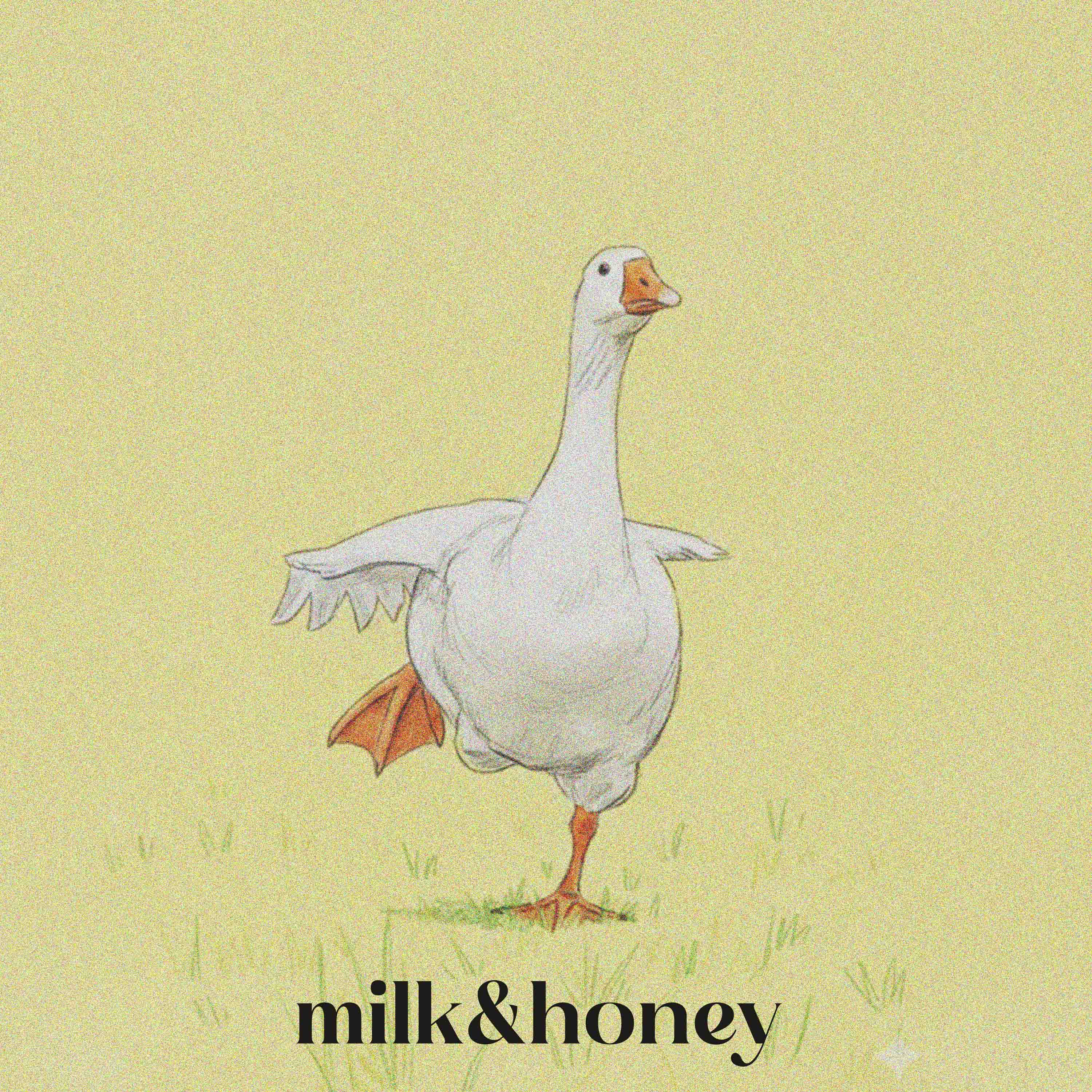 the happi happi playlist artwork