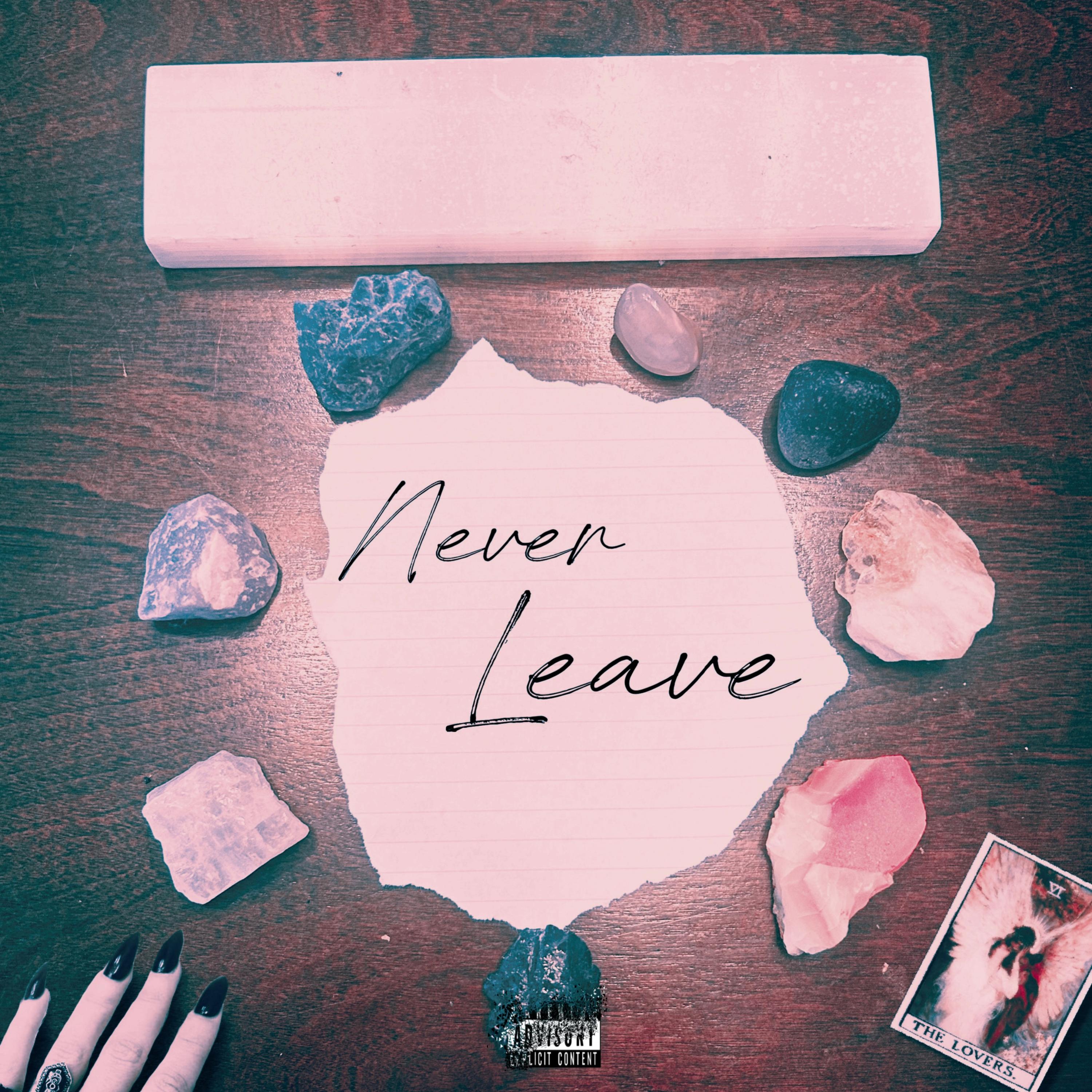 Never Leave artwork