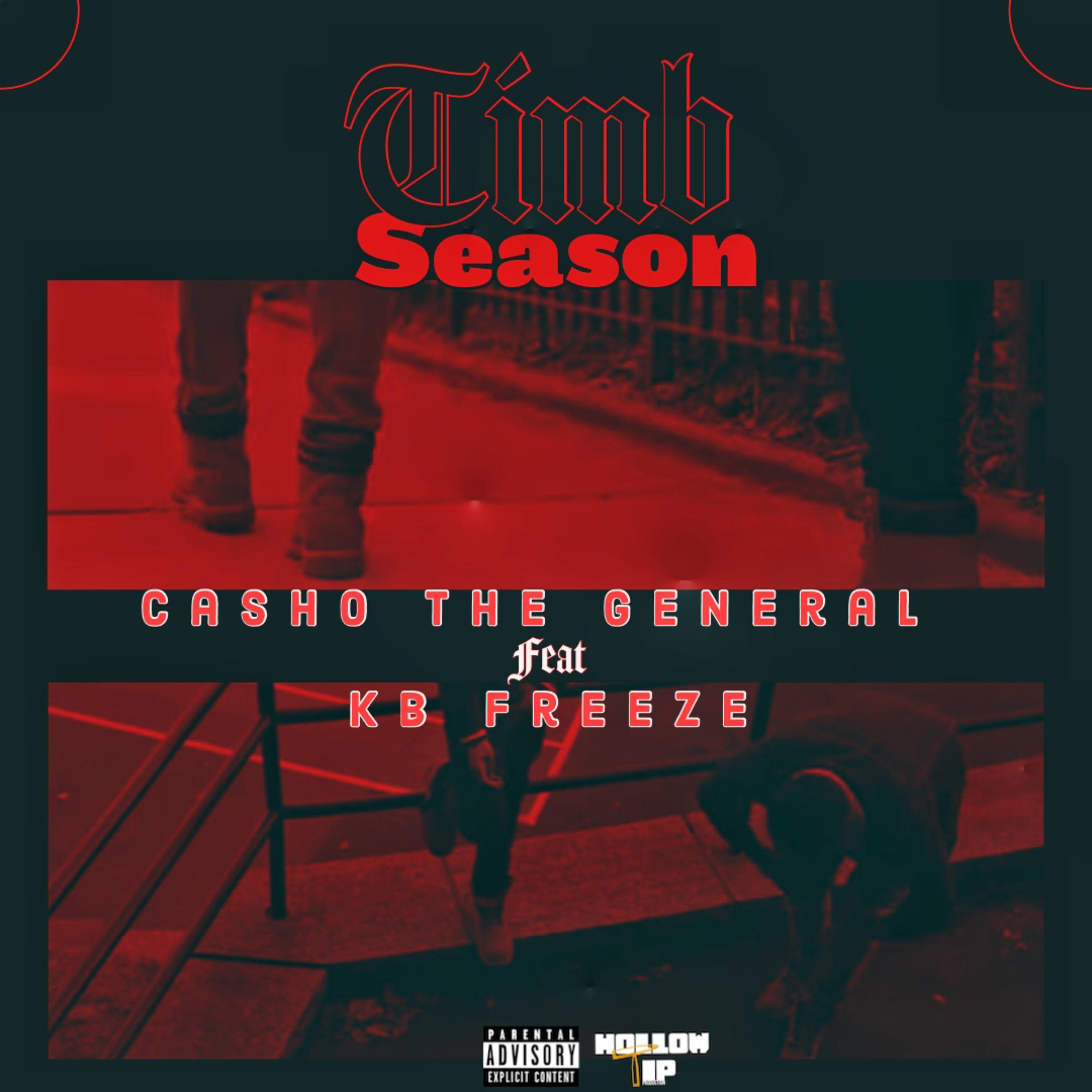 Timb Season artwork
