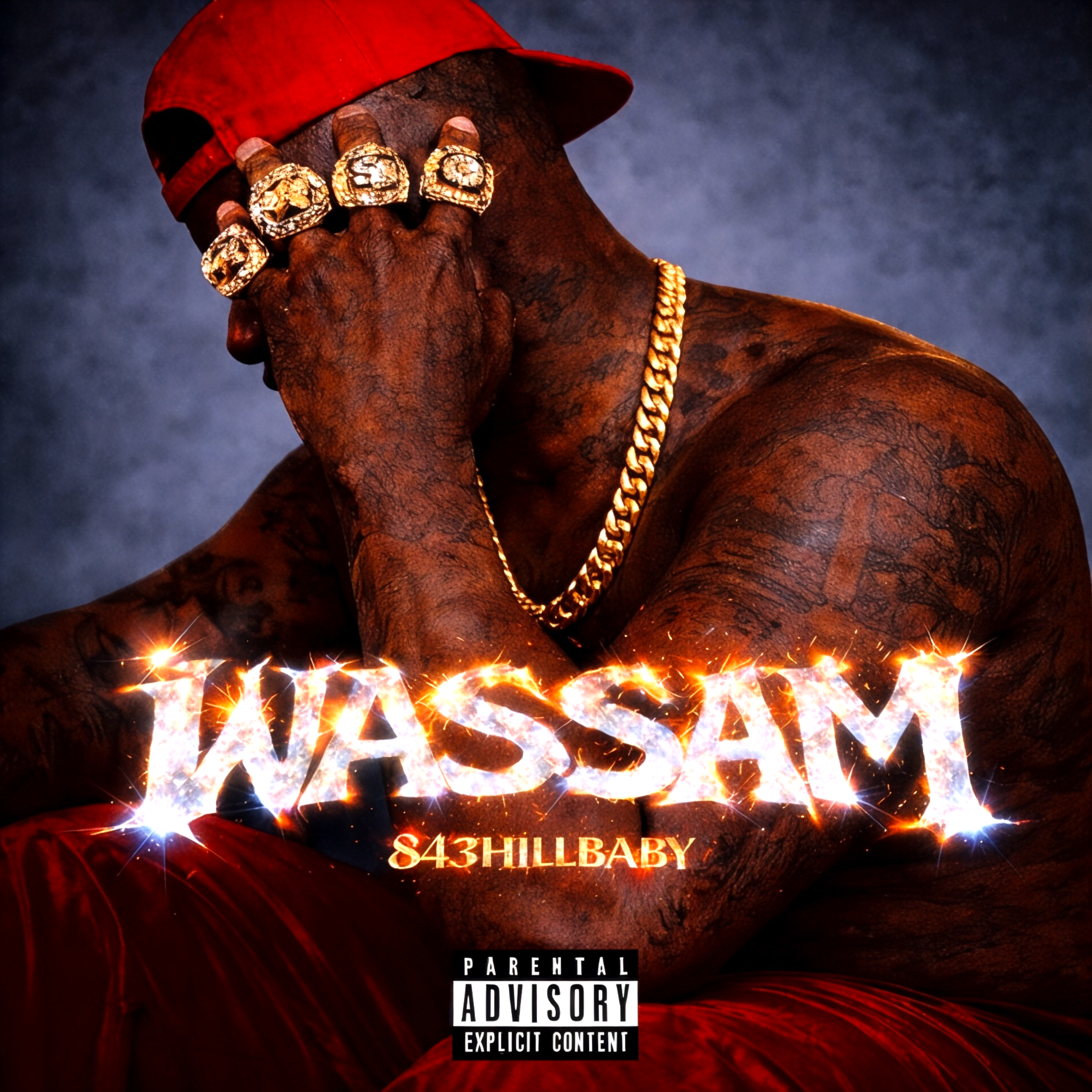 WASSAM artwork