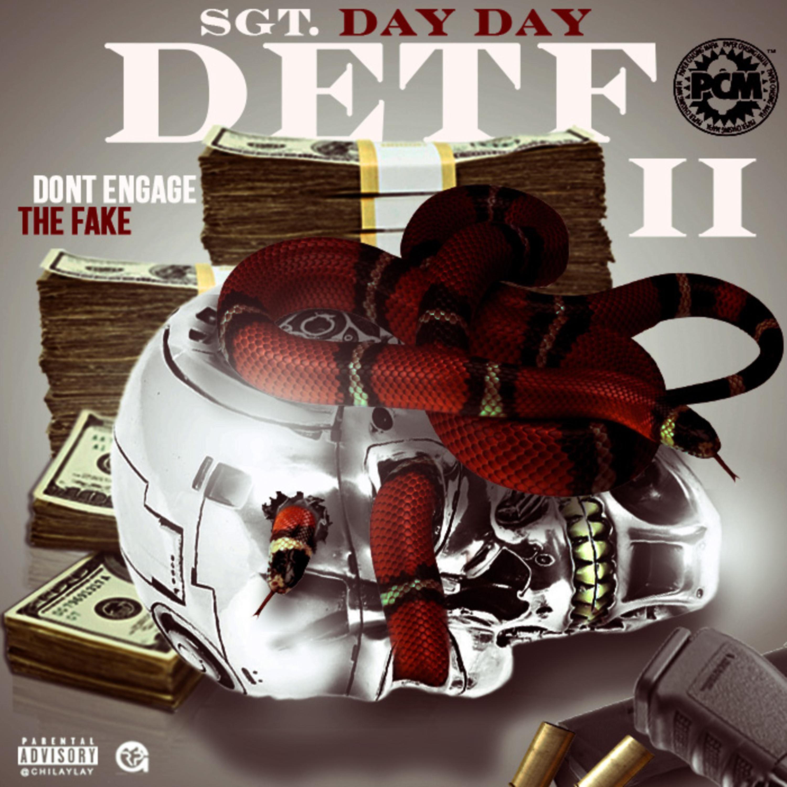 Don't Engage The Fake 2 artwork