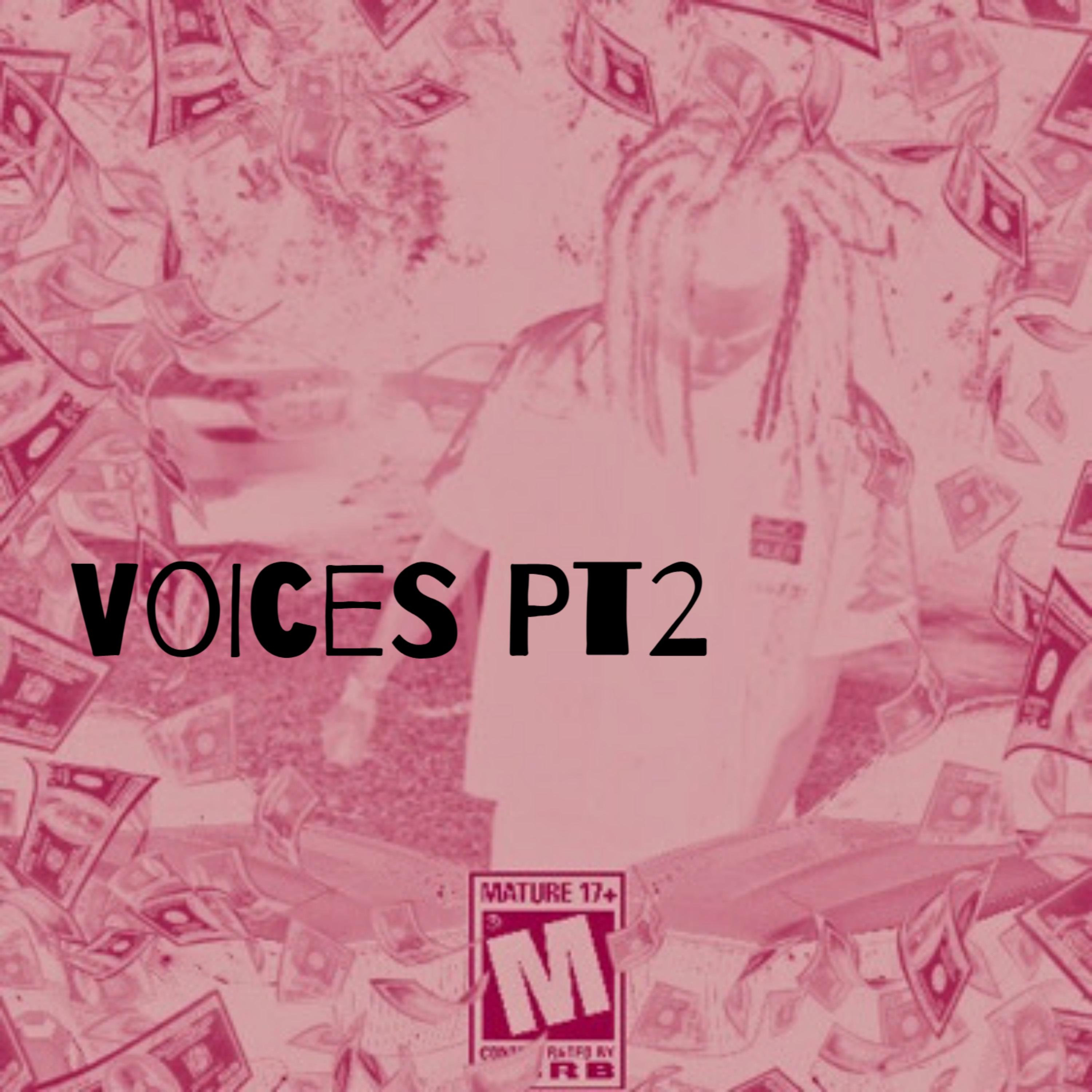 Voices Pt2 artwork