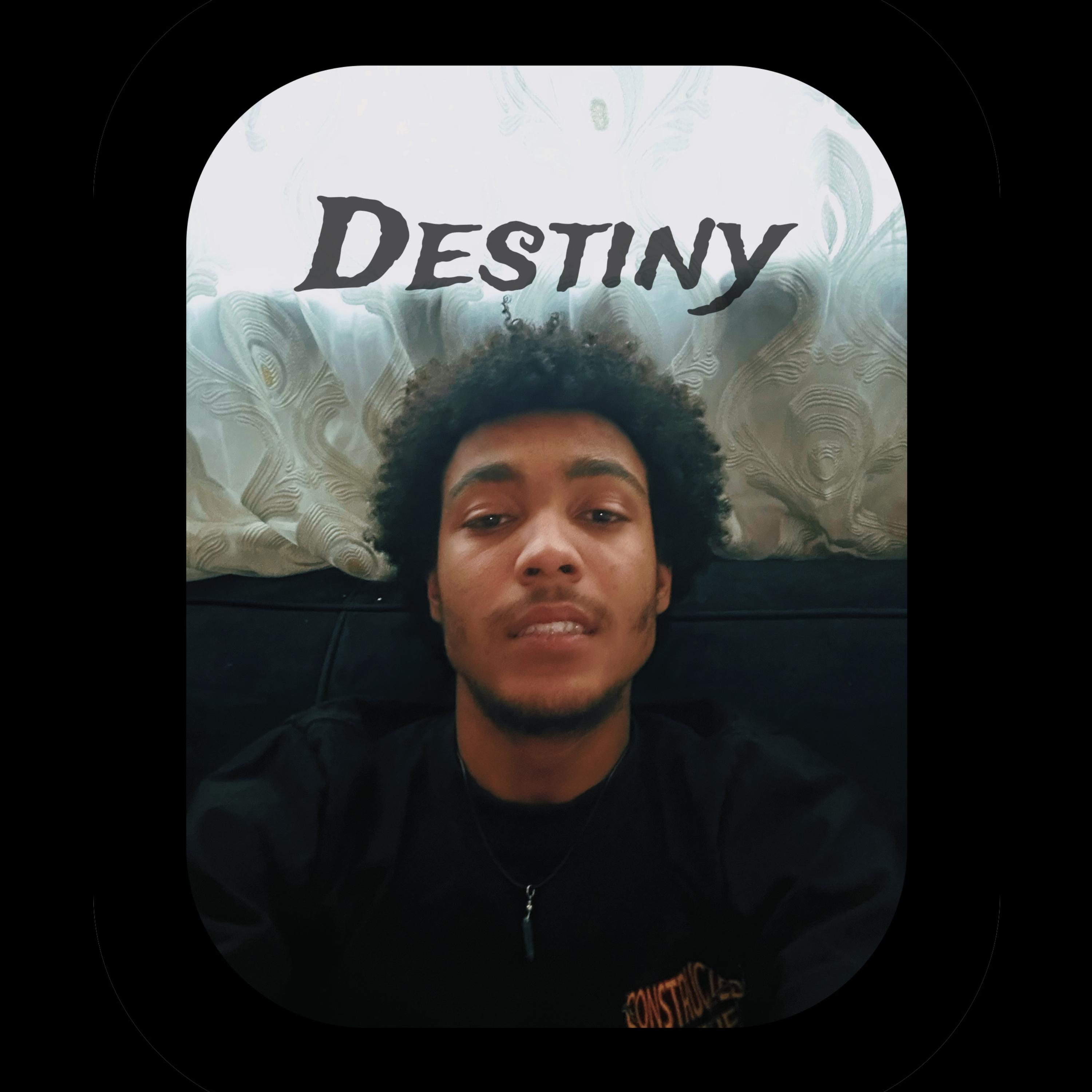 Destiny artwork