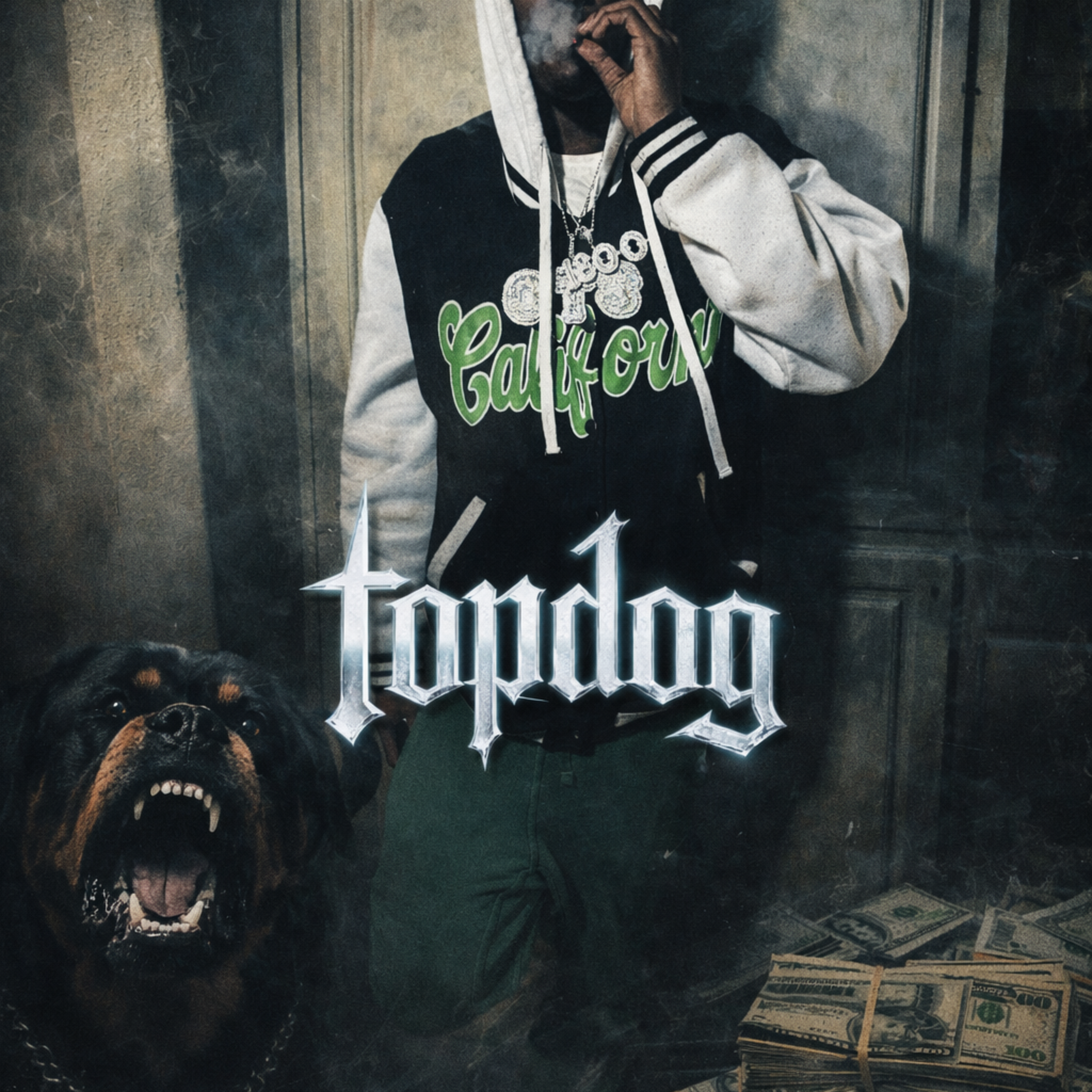 Topdog artwork