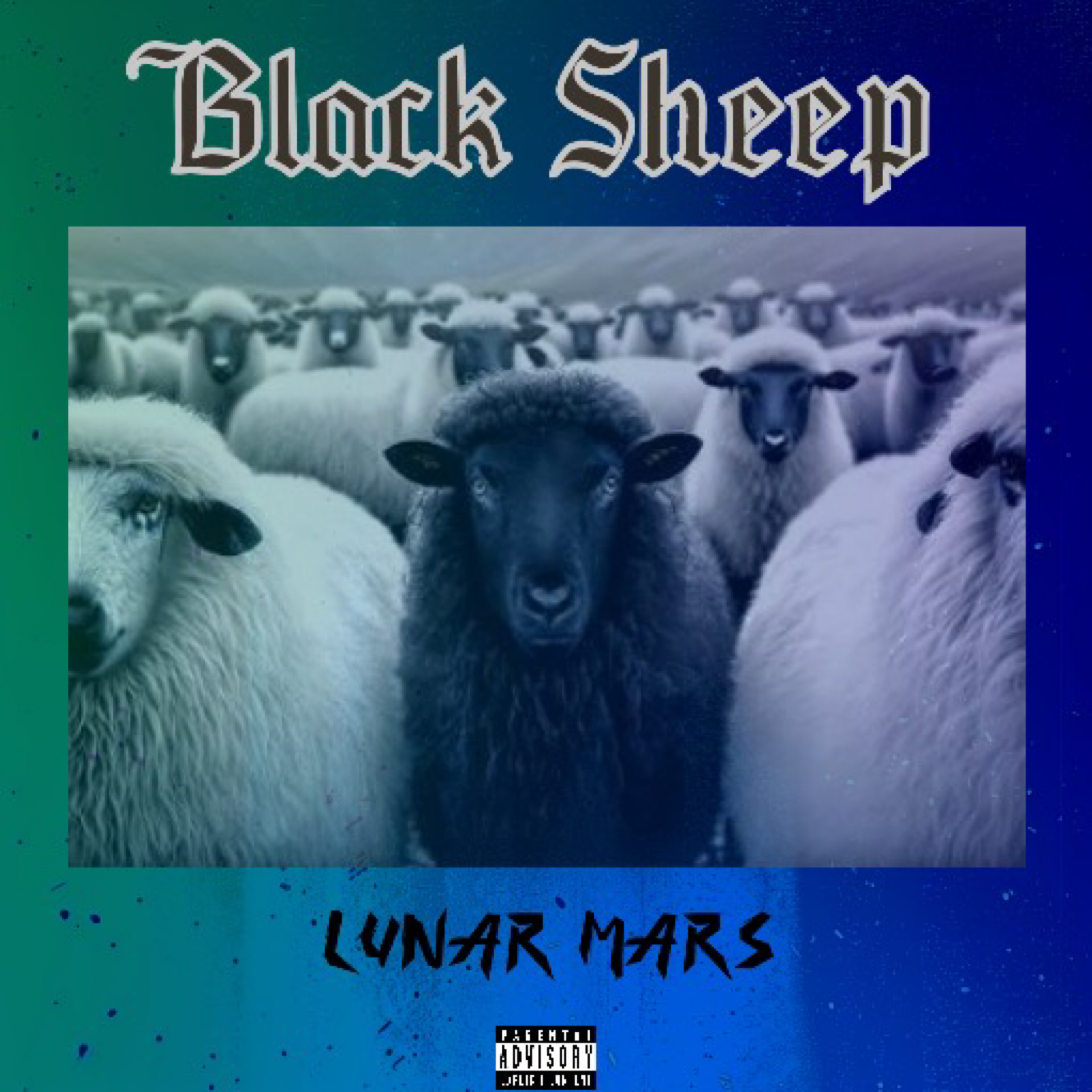 Black Sheep artwork