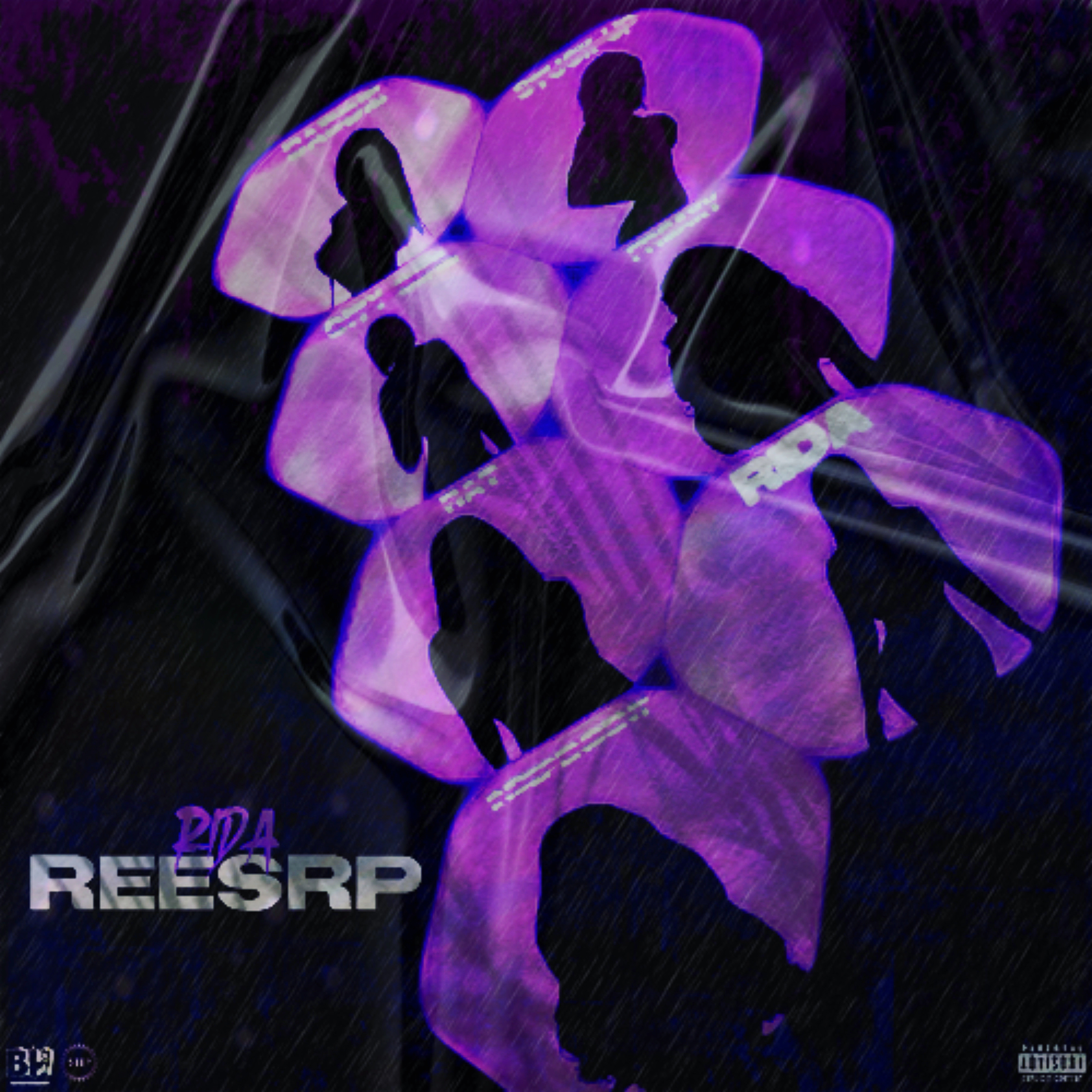RIDA artwork