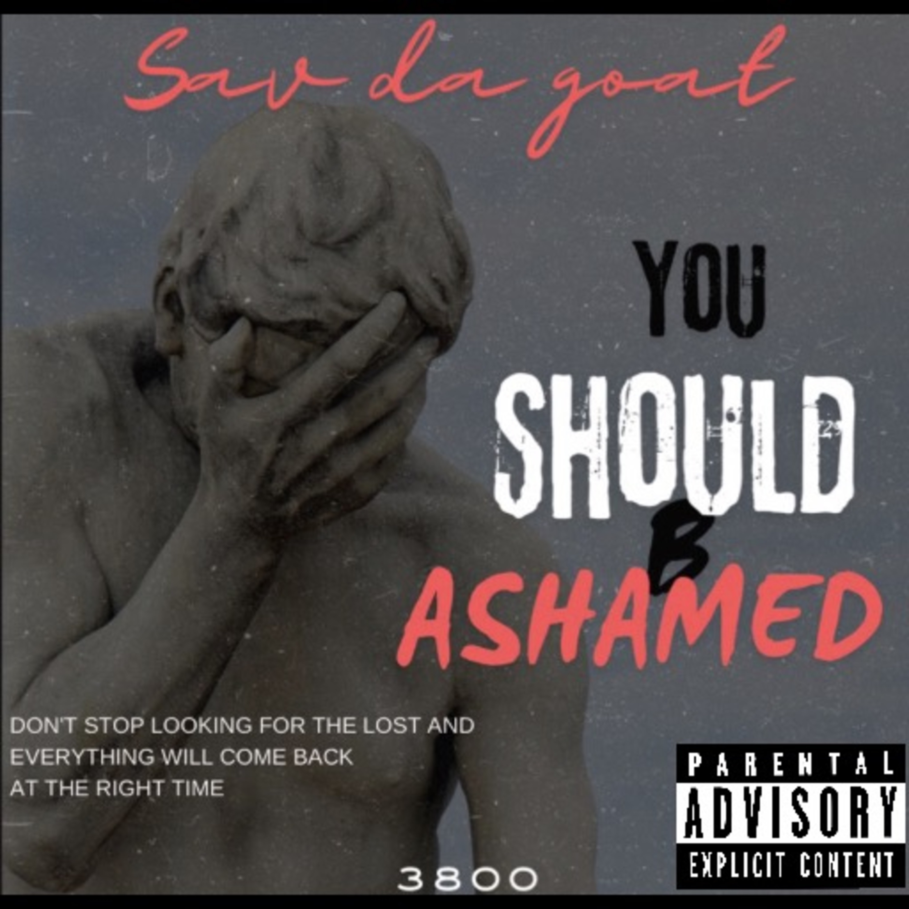You Should Be Ashamed artwork