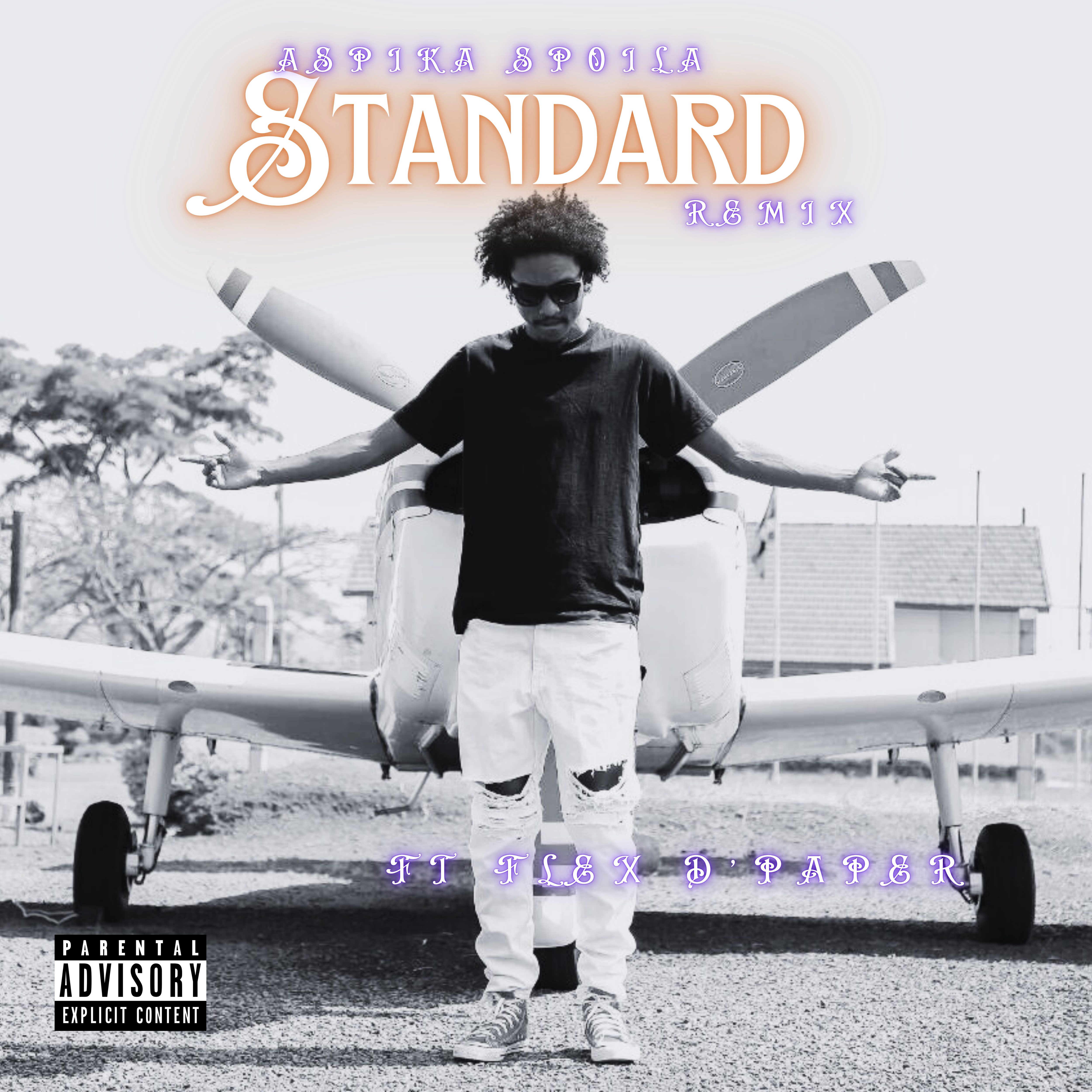 Standard (Remix) artwork