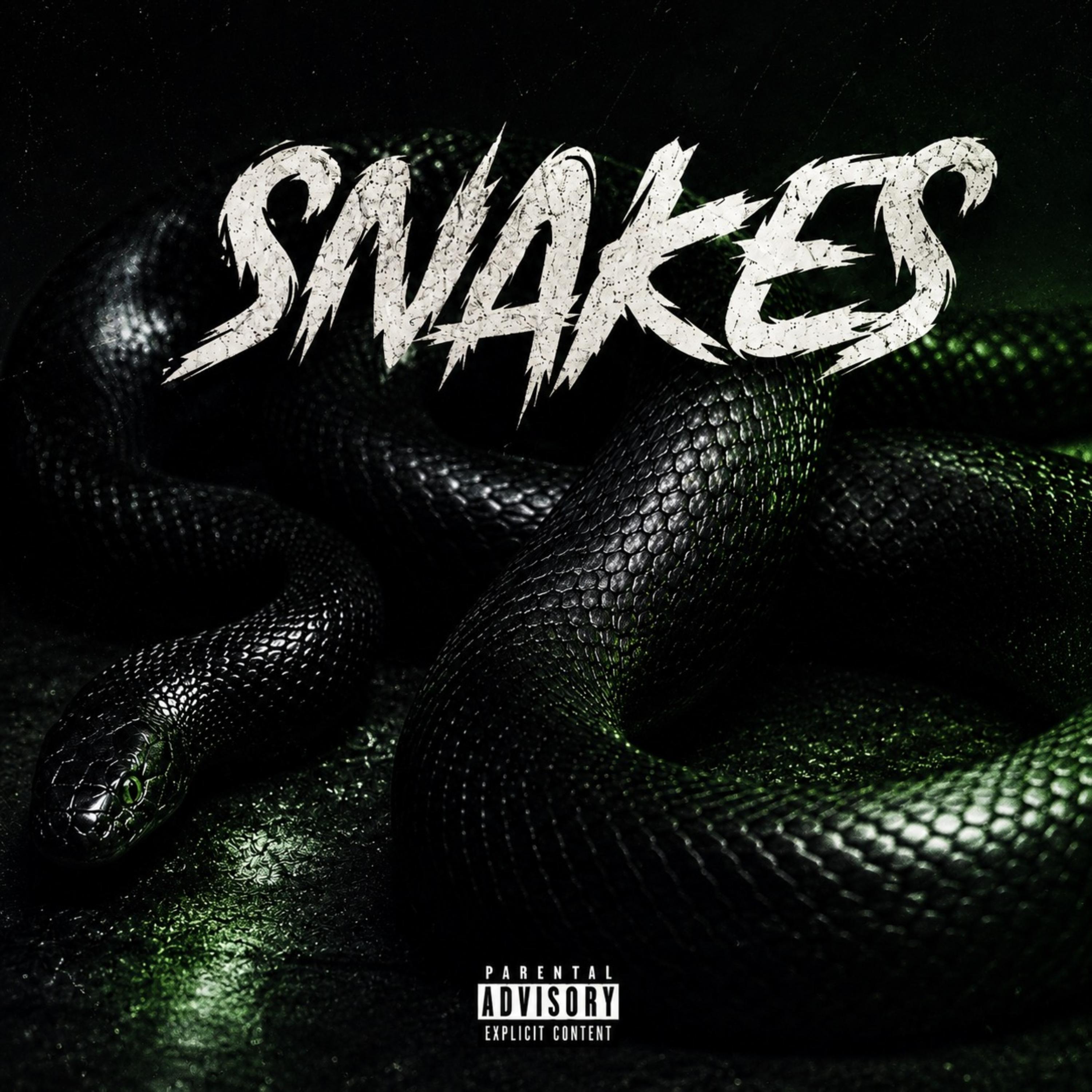 Snakes by DD Bandz cover art