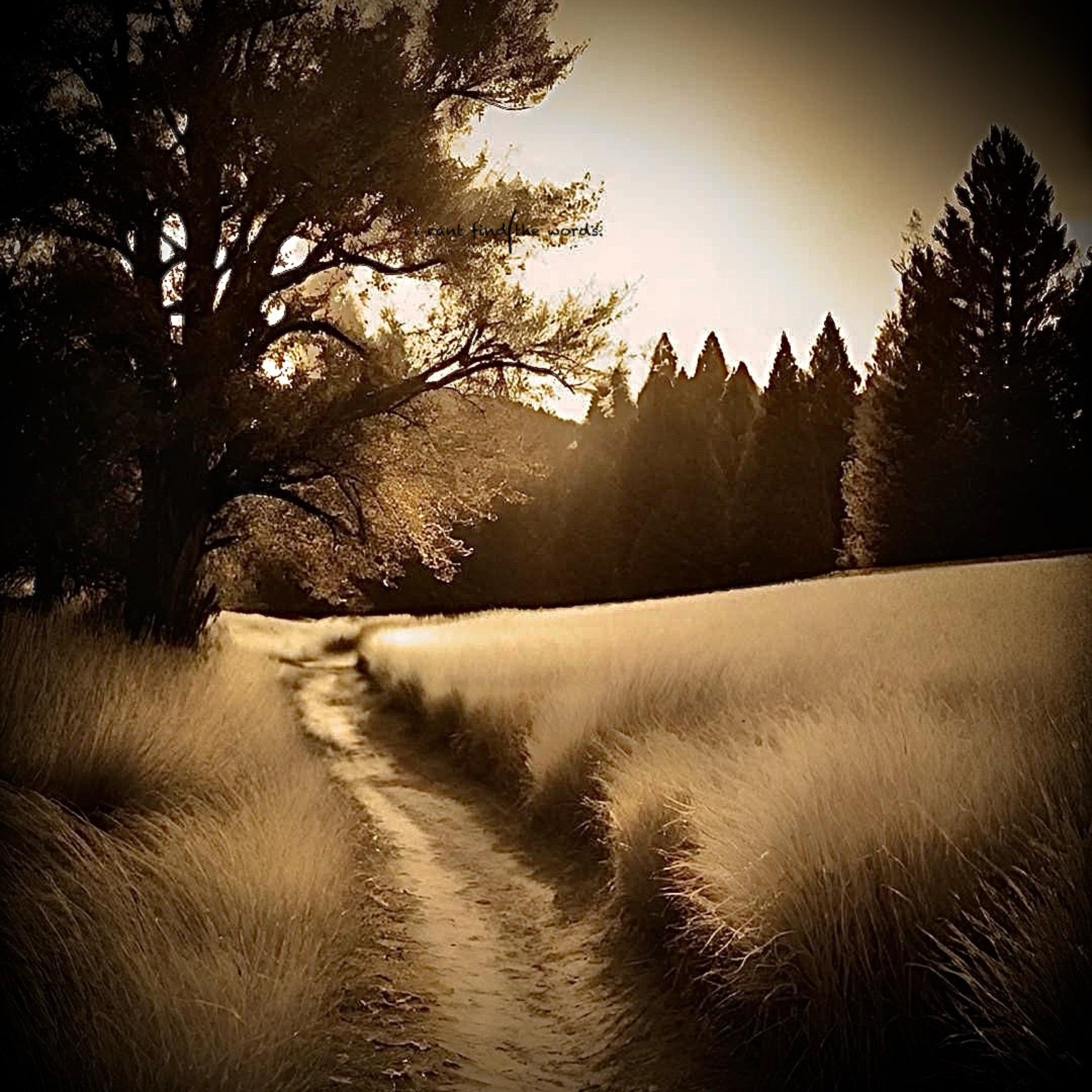 i can’t find the words. artwork