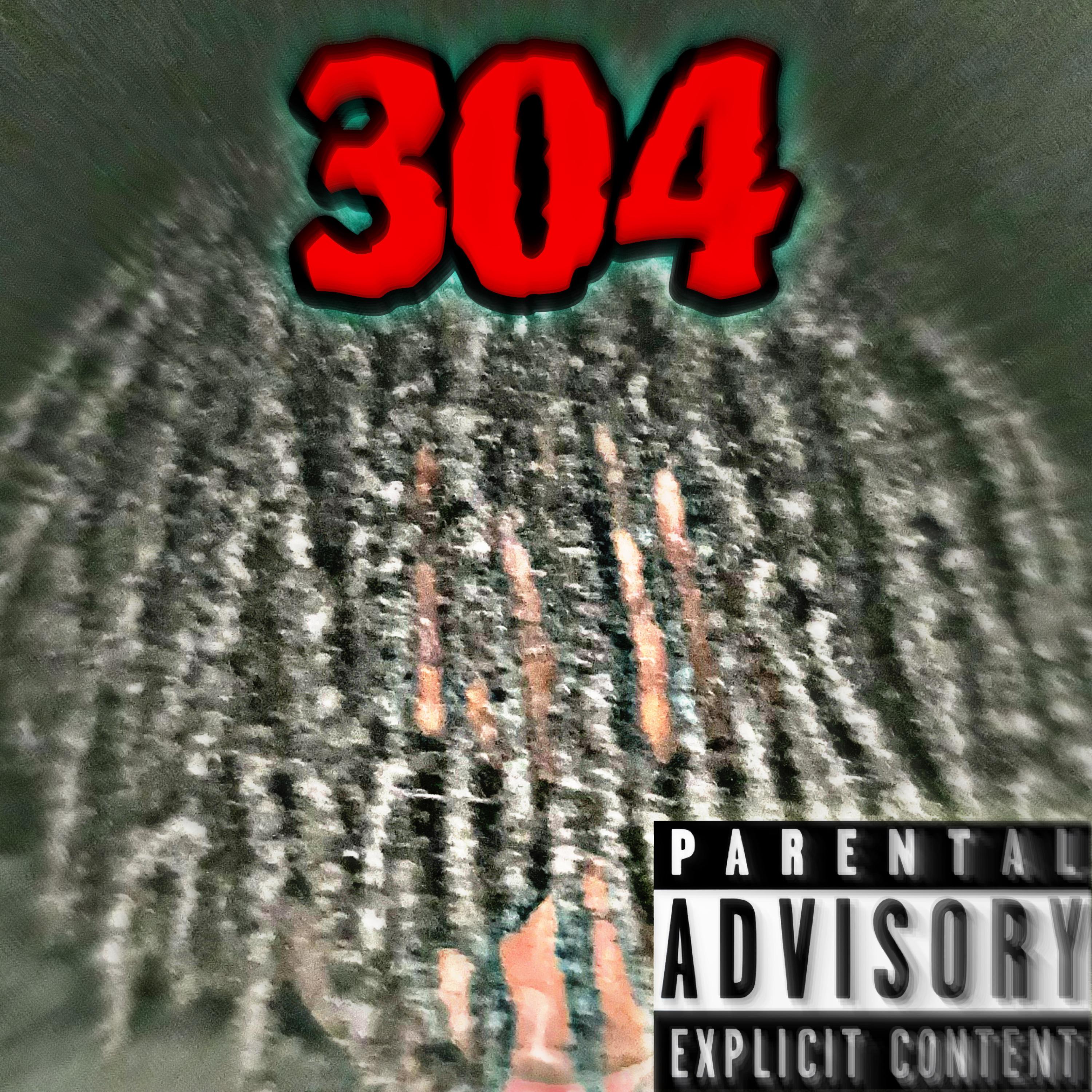 304 artwork