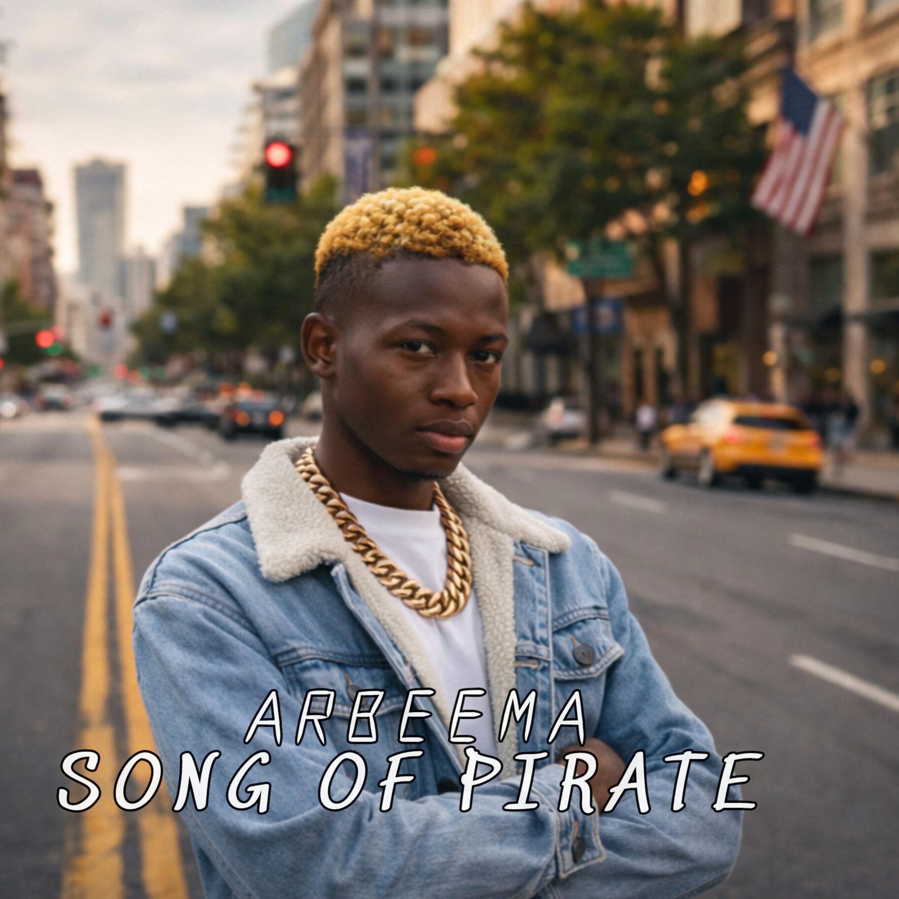 Song of pirates artwork