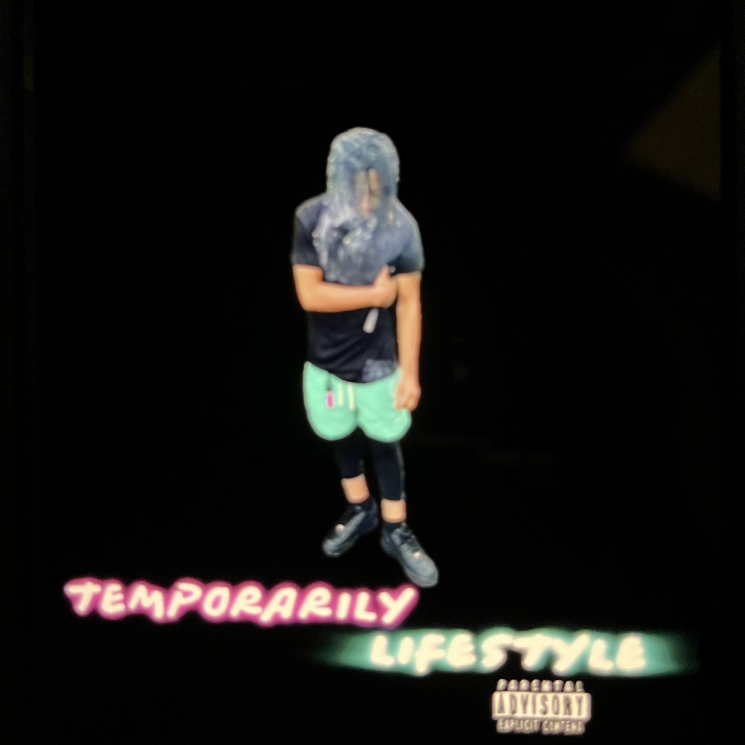 TEMPORARY LIFESTYLE by MEIR SANTANA cover art