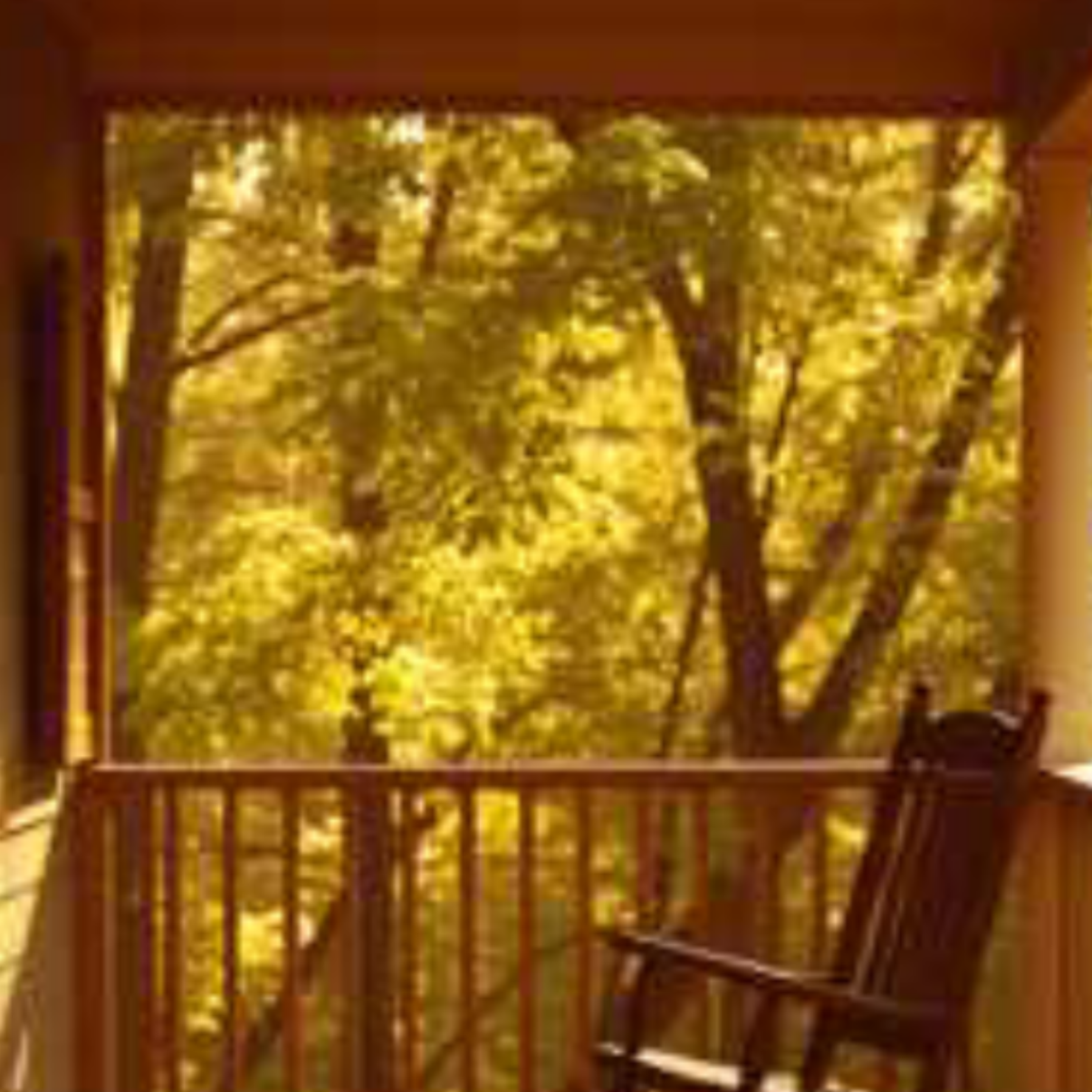 That Ole Porch artwork