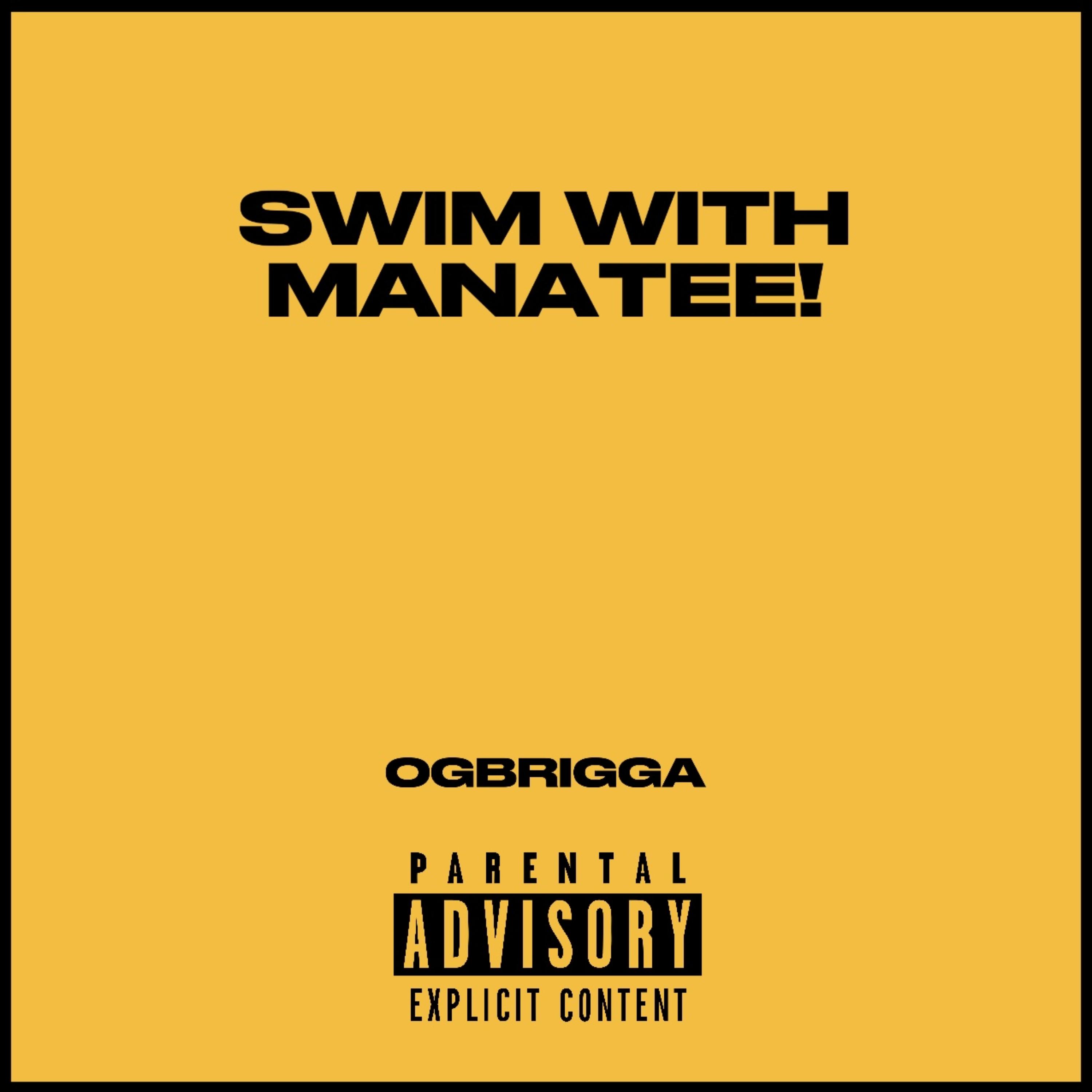 SWIM WITH MANATEE! artwork
