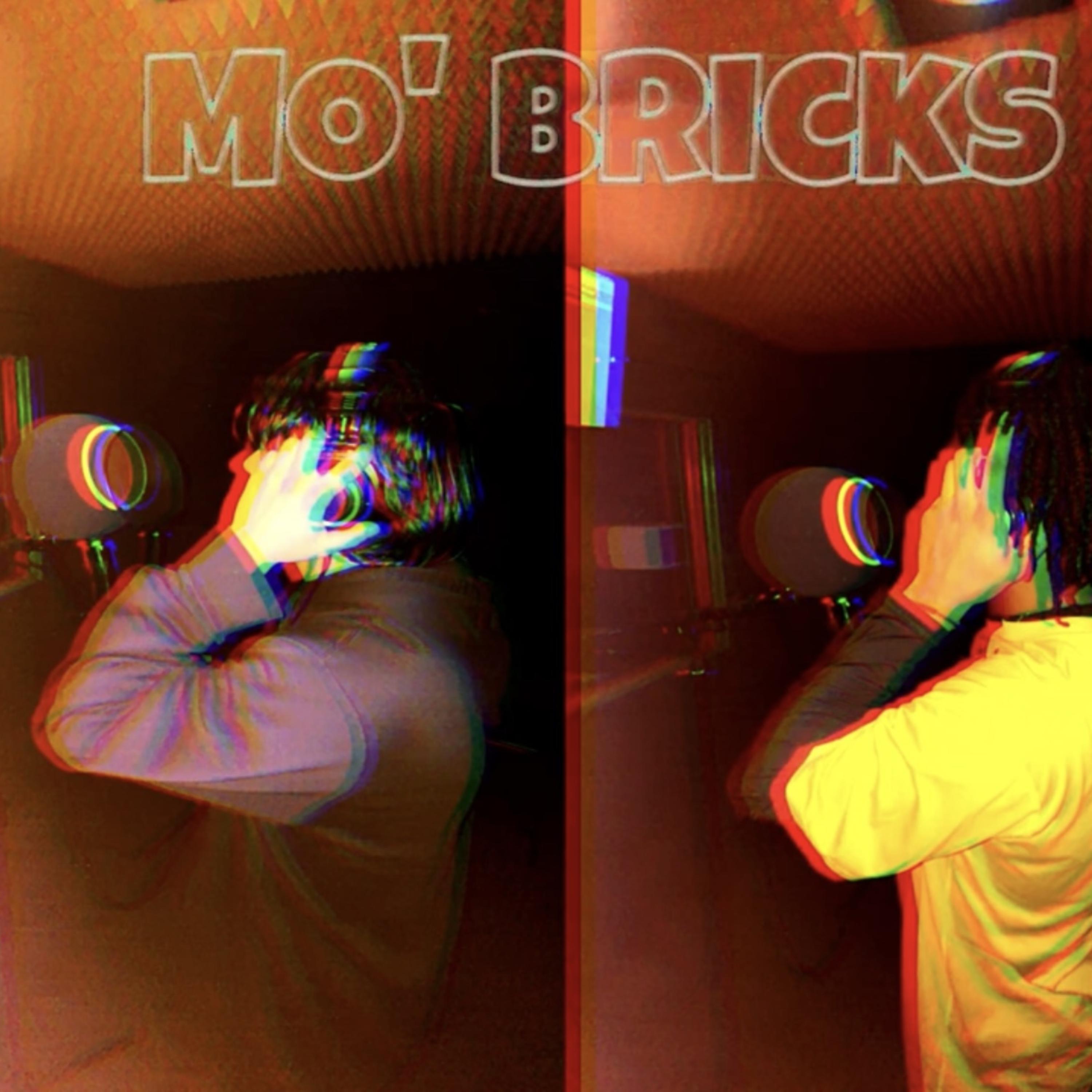 Mo' Bricks artwork