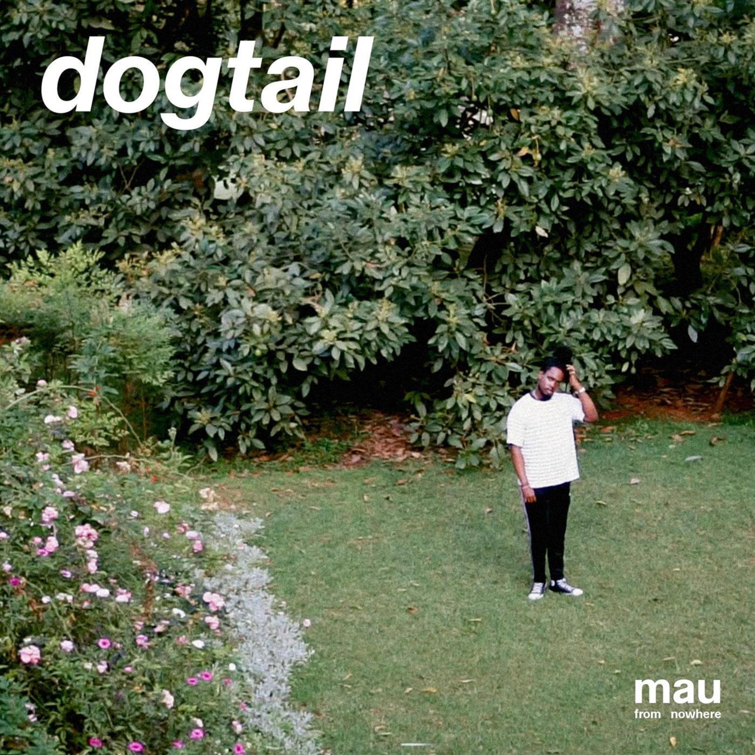 Dogtail artwork
