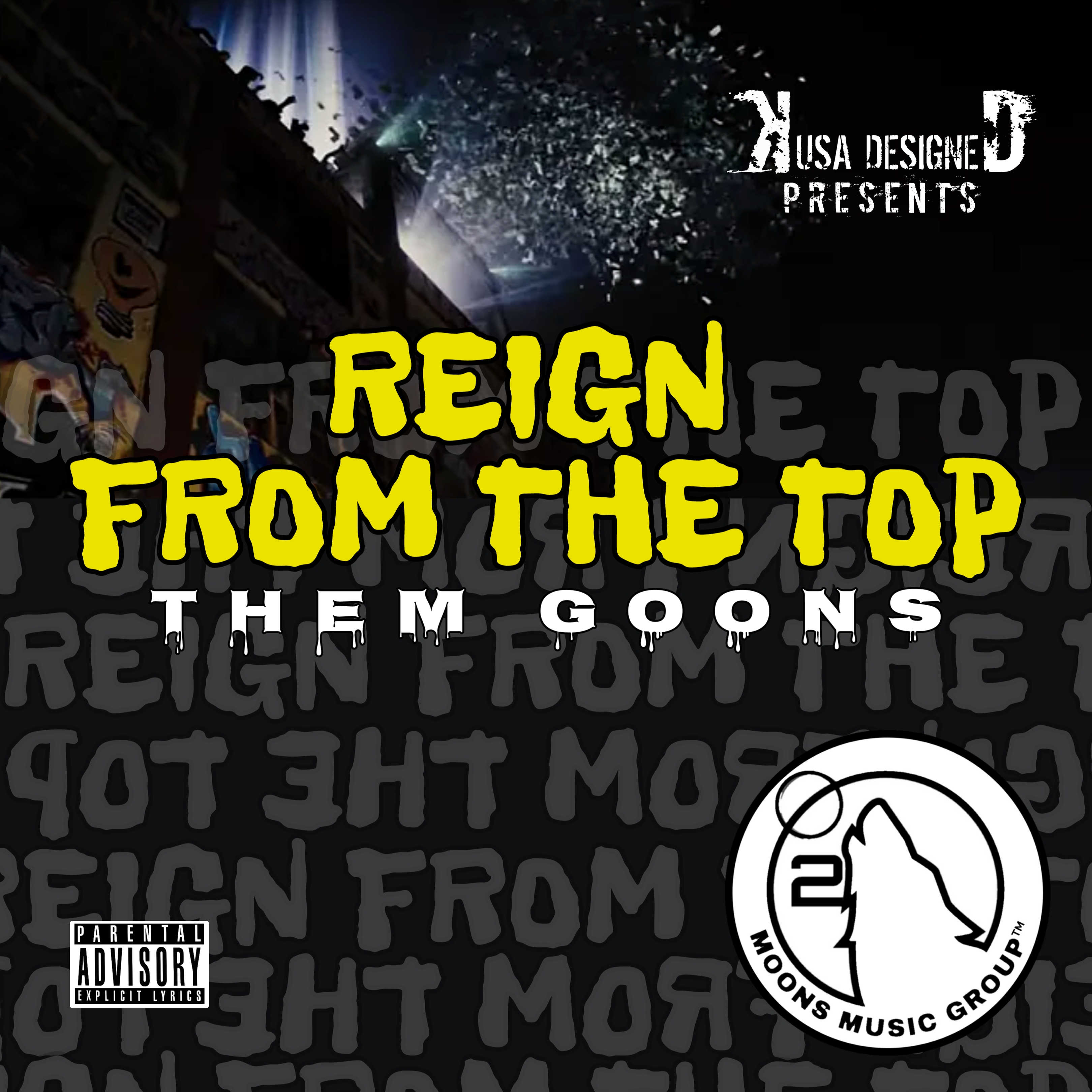 REIGN FROM THE TOP THEM GOONS artwork