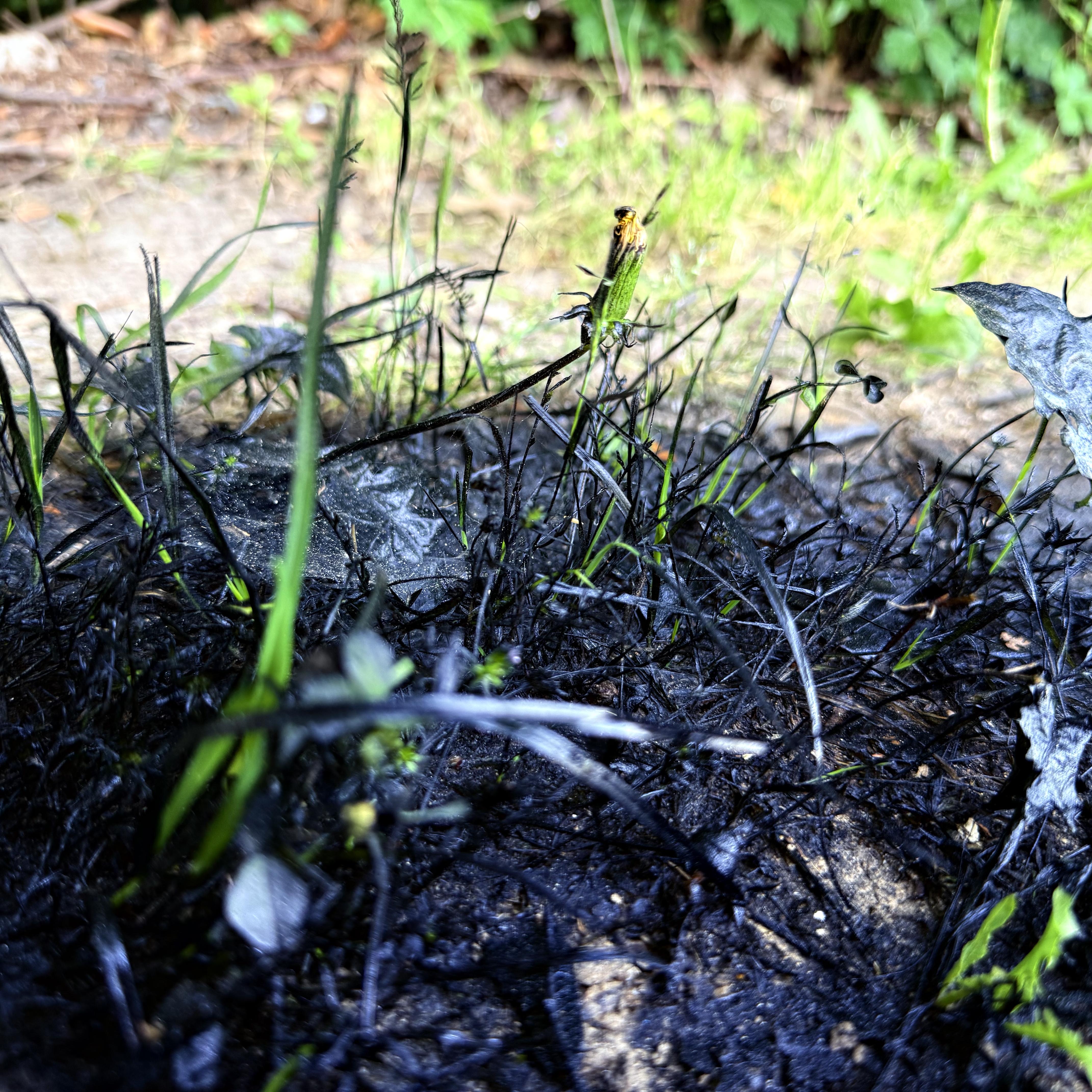 Yo Momma Right Or Wrng artwork