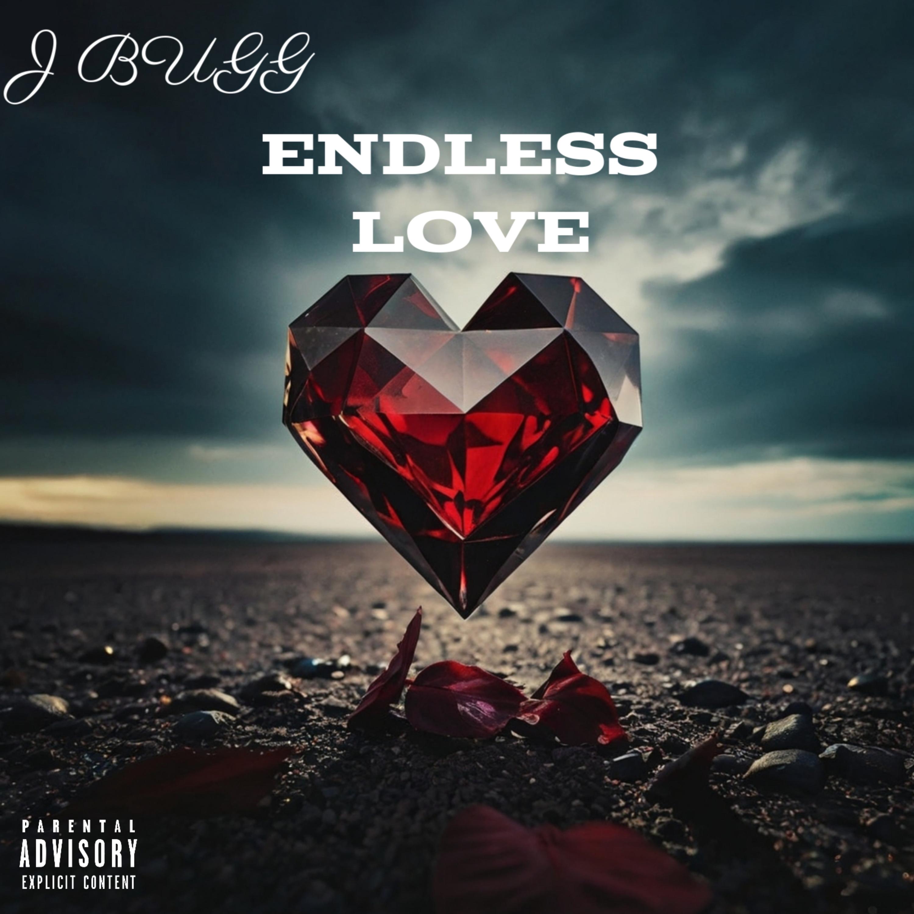 ENDLESS LOVE artwork