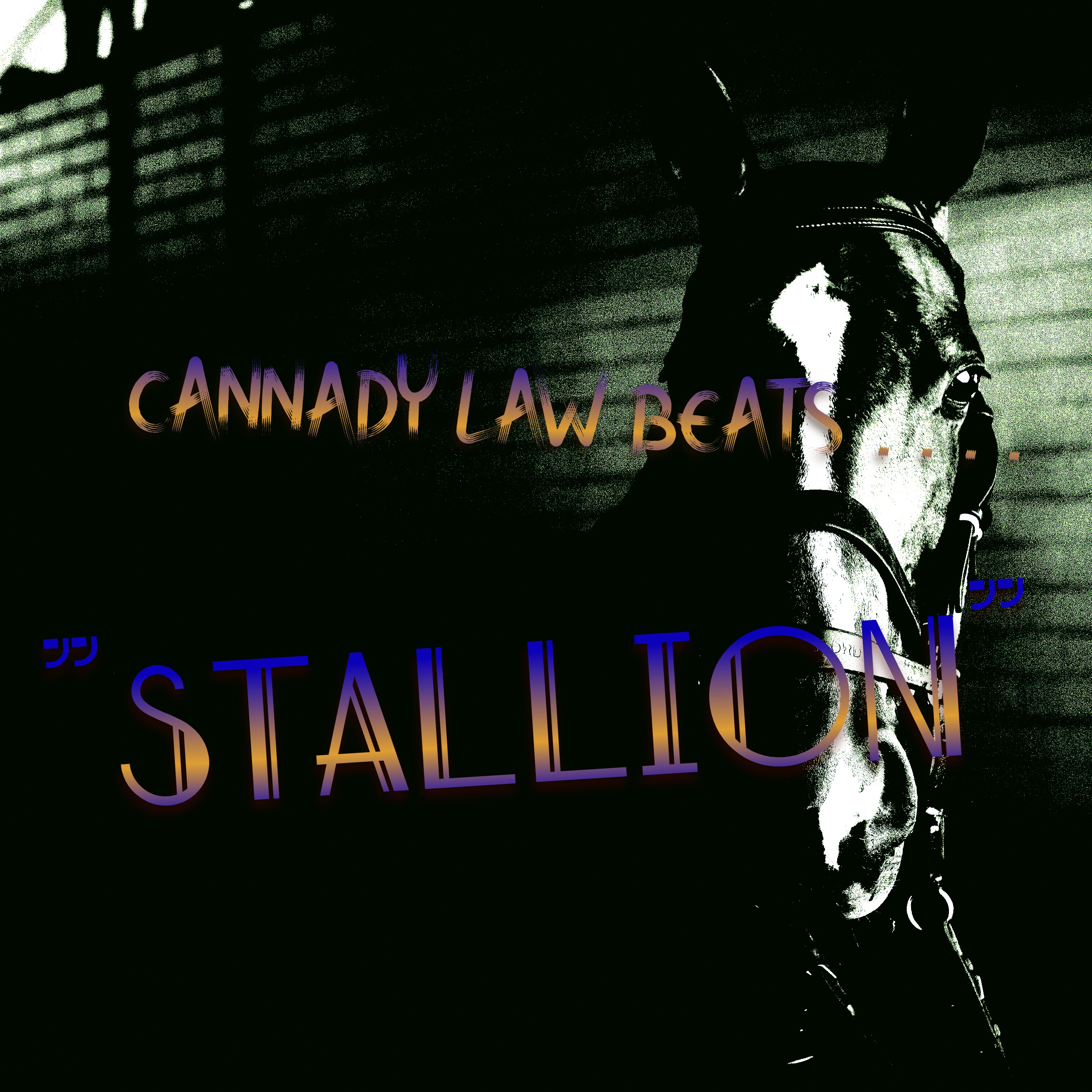 STALLION by Cannady Law Beats cover art