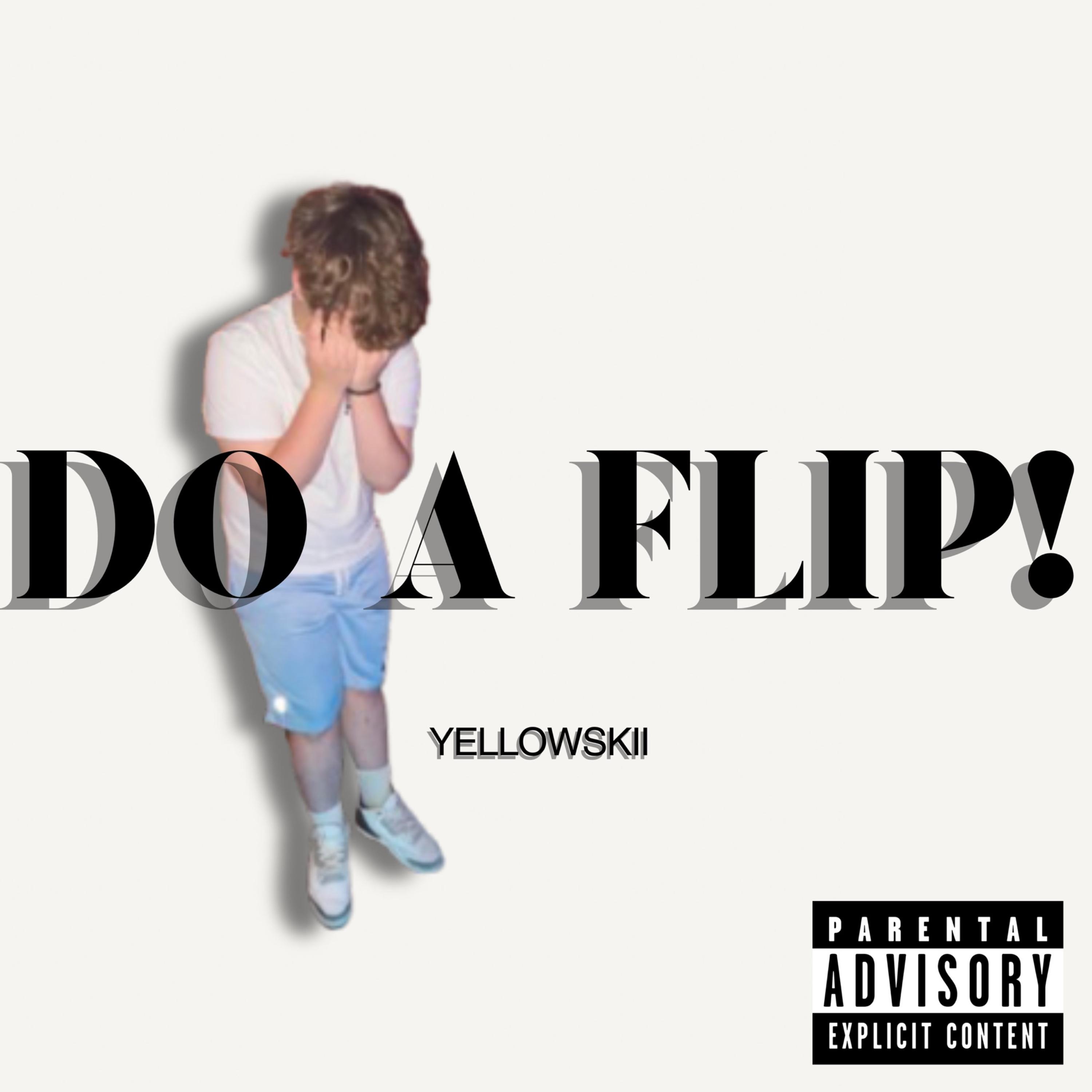 DO A FLIP! artwork