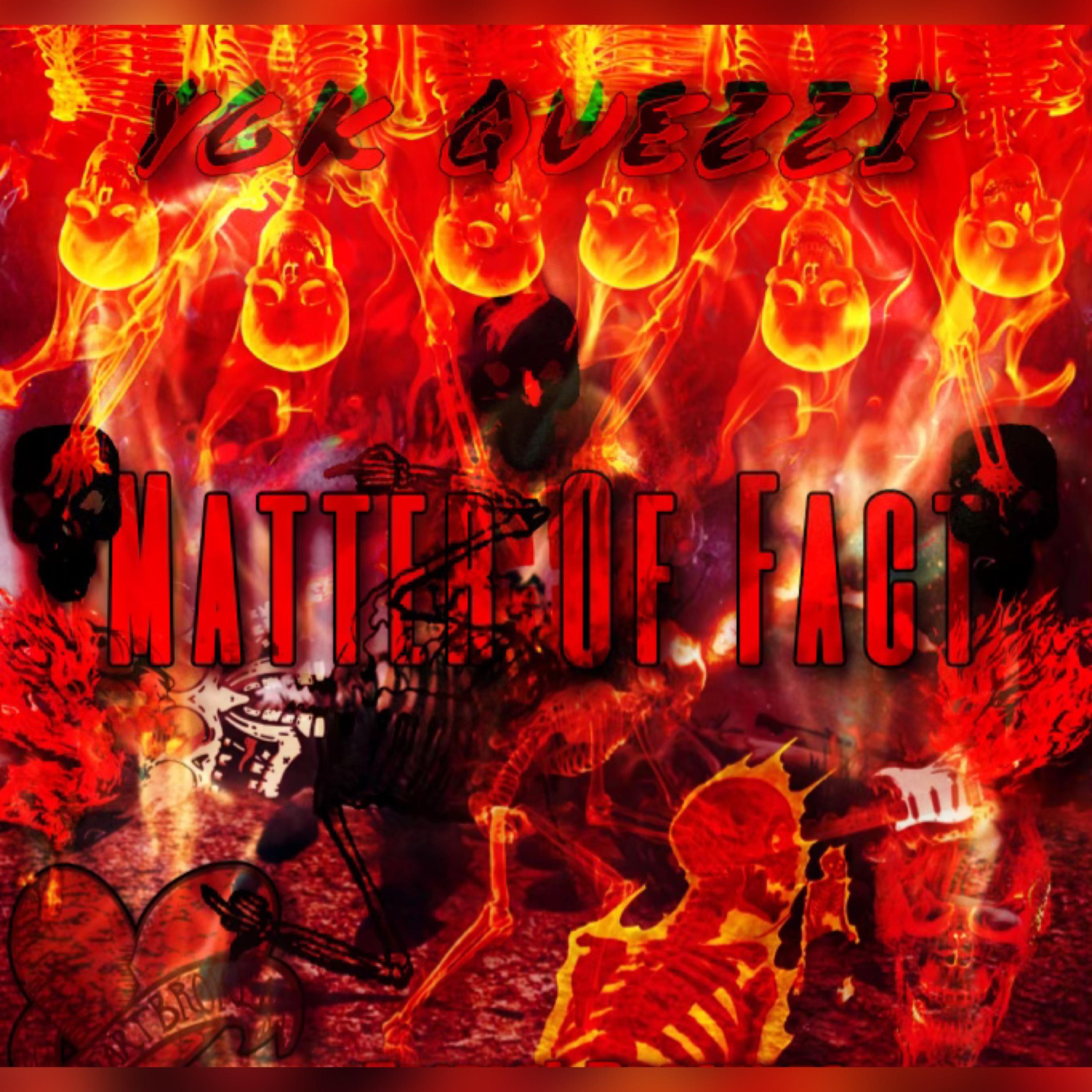 Matter Of Fact by YGK Quezzi cover art