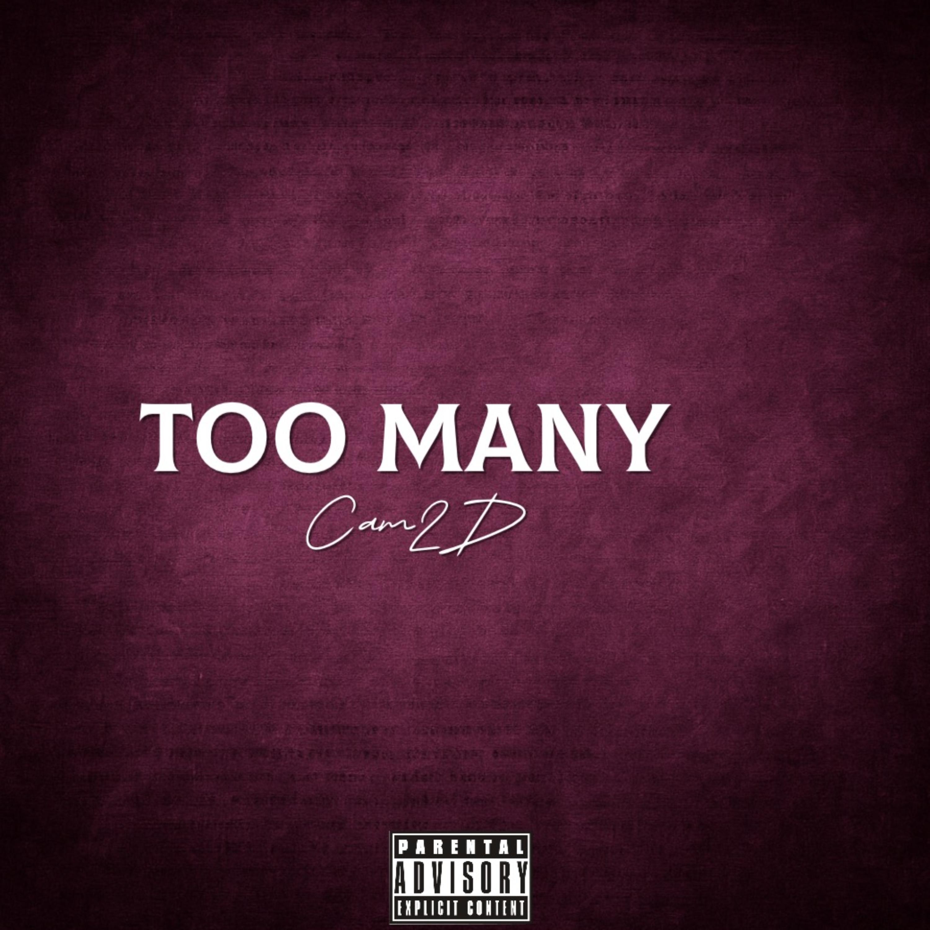 Too Many by Cam2D cover art