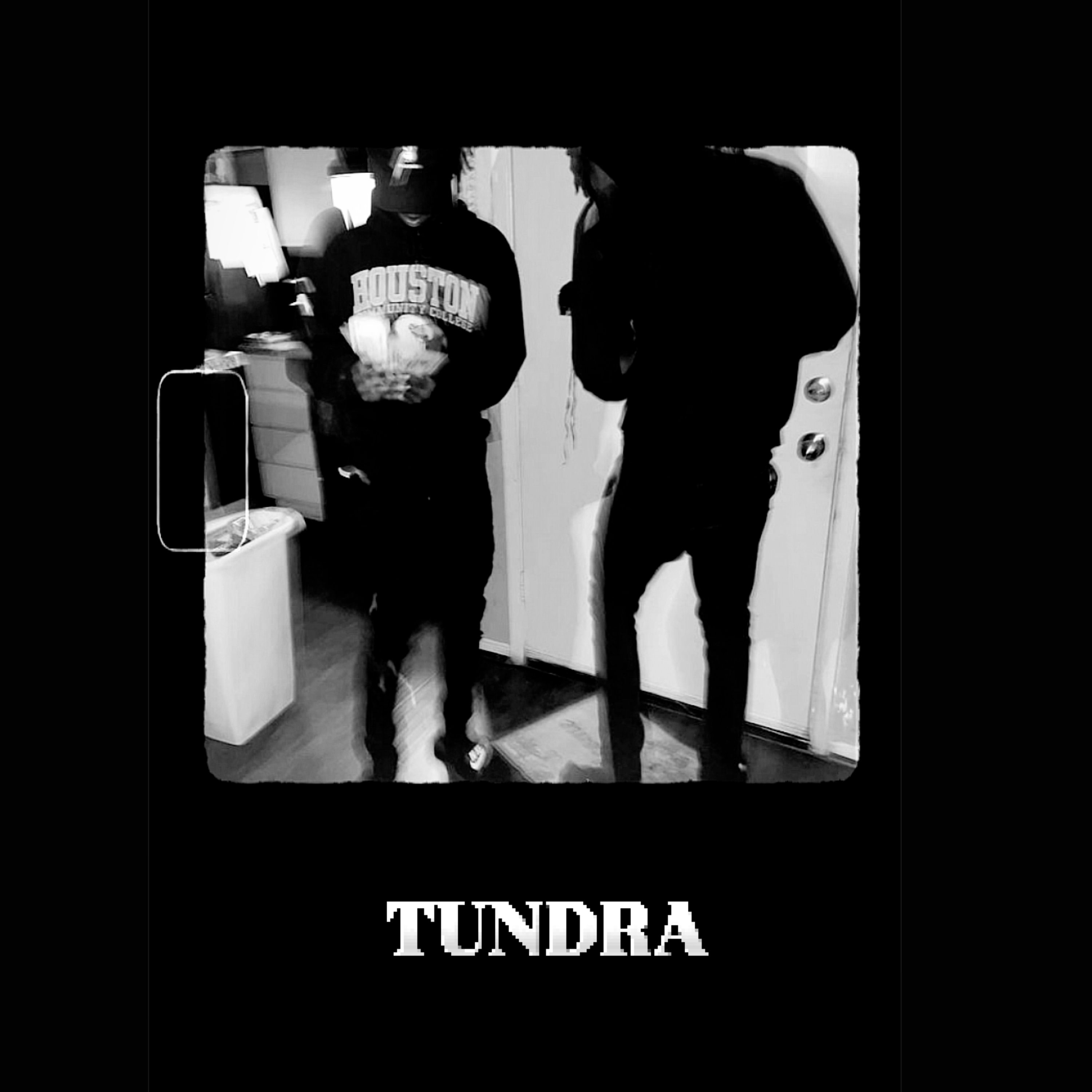 TUNDRA artwork