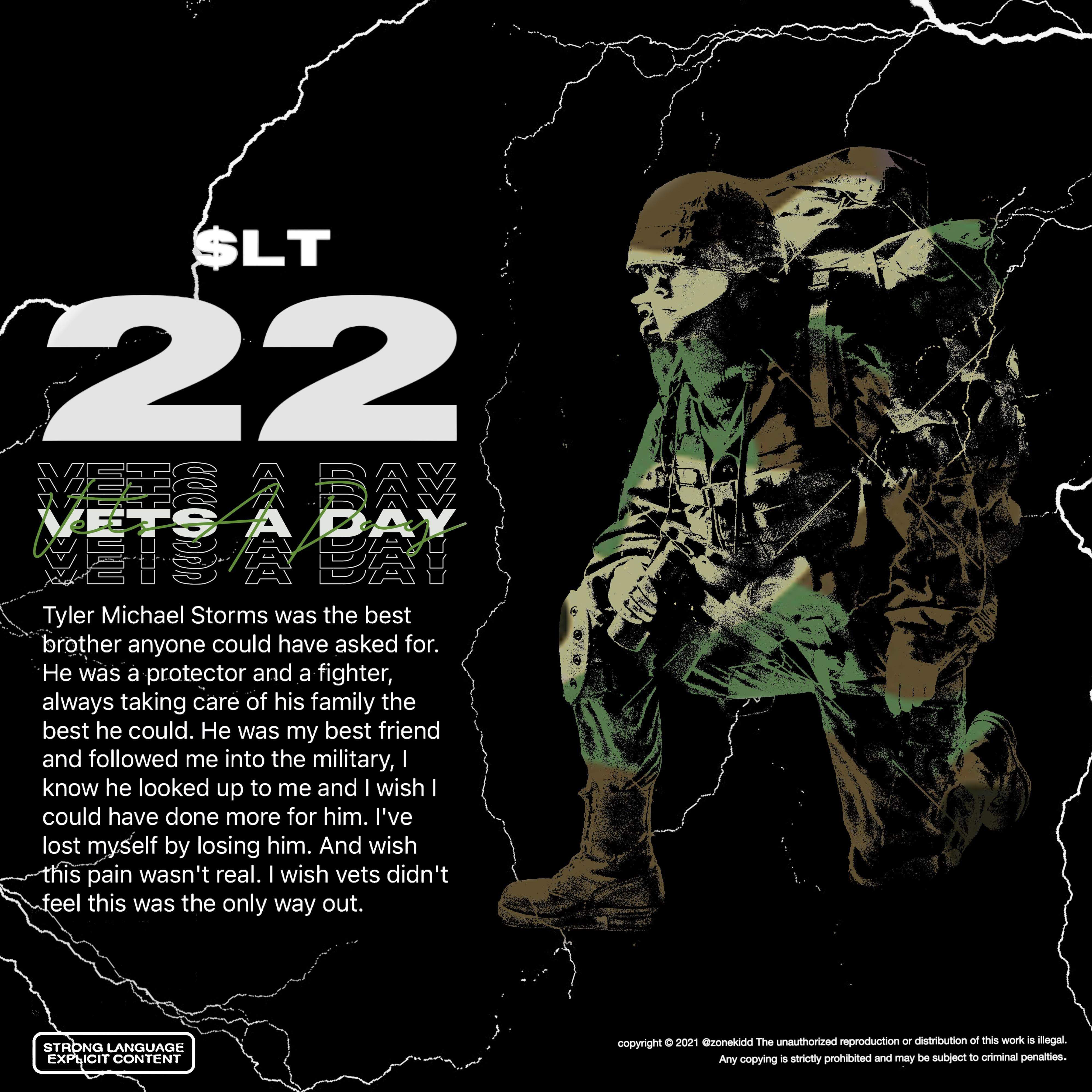 22 Vets A Day artwork