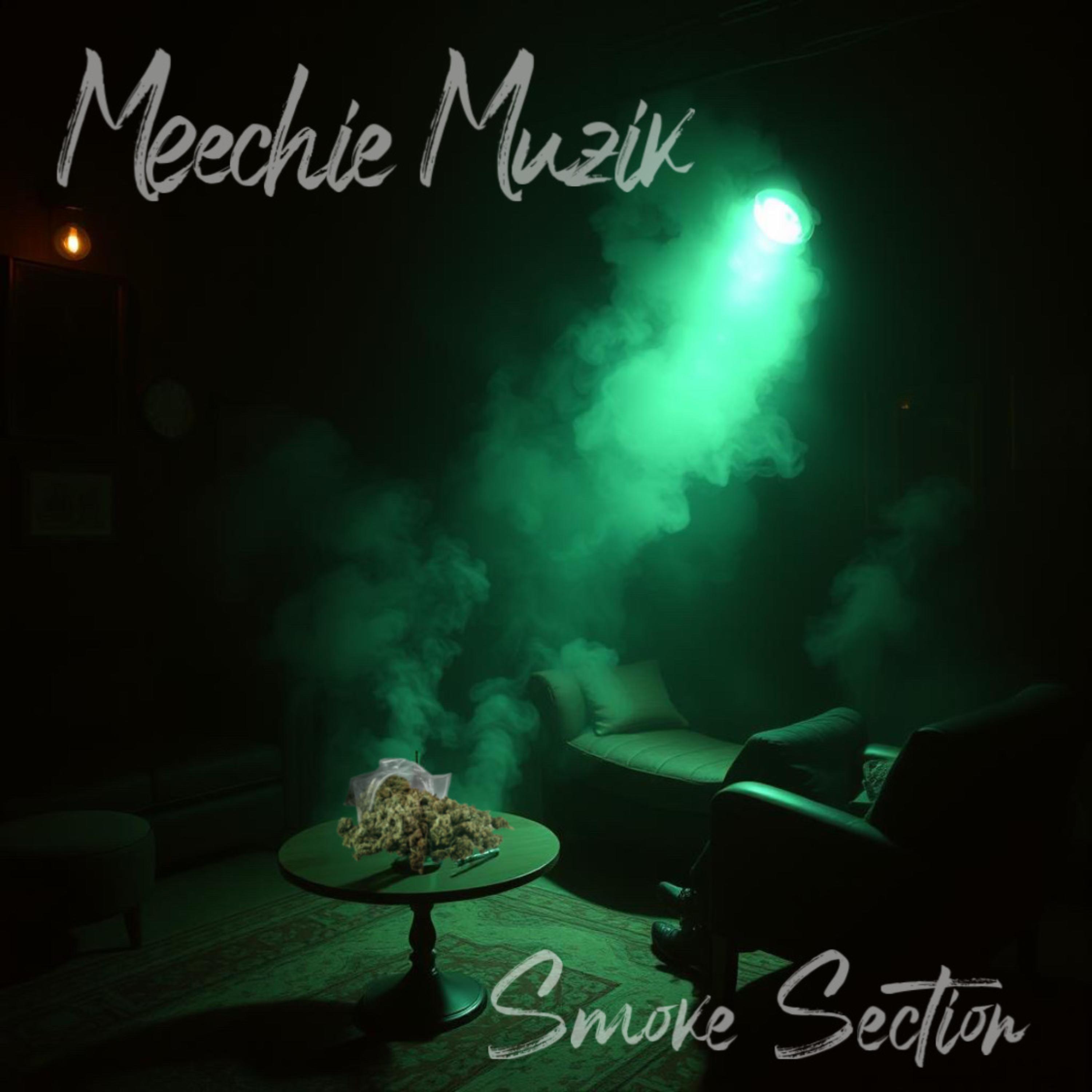 Smoke Section by Meechie Muzik cover art