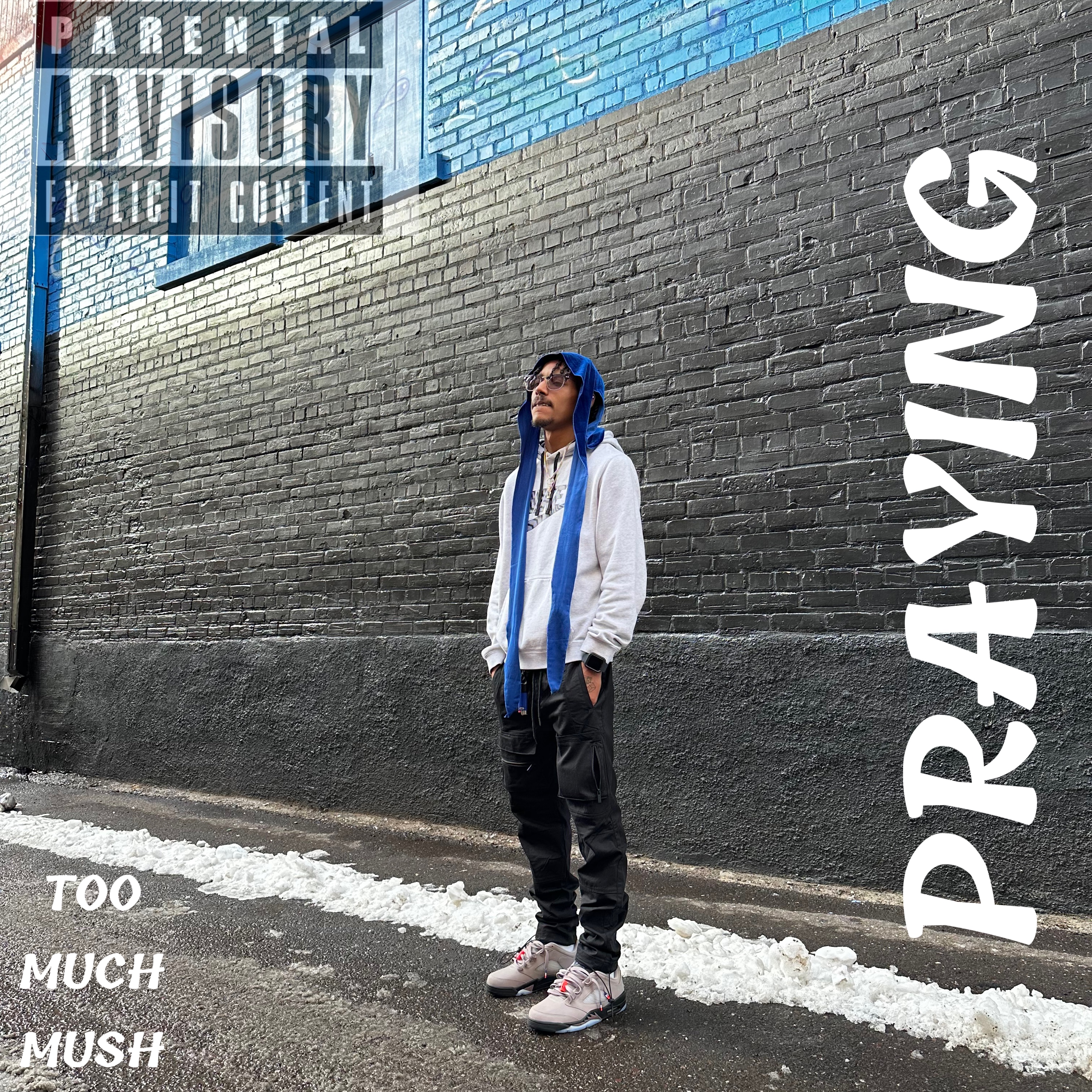 Praying by TOOMUCHMUSH cover art