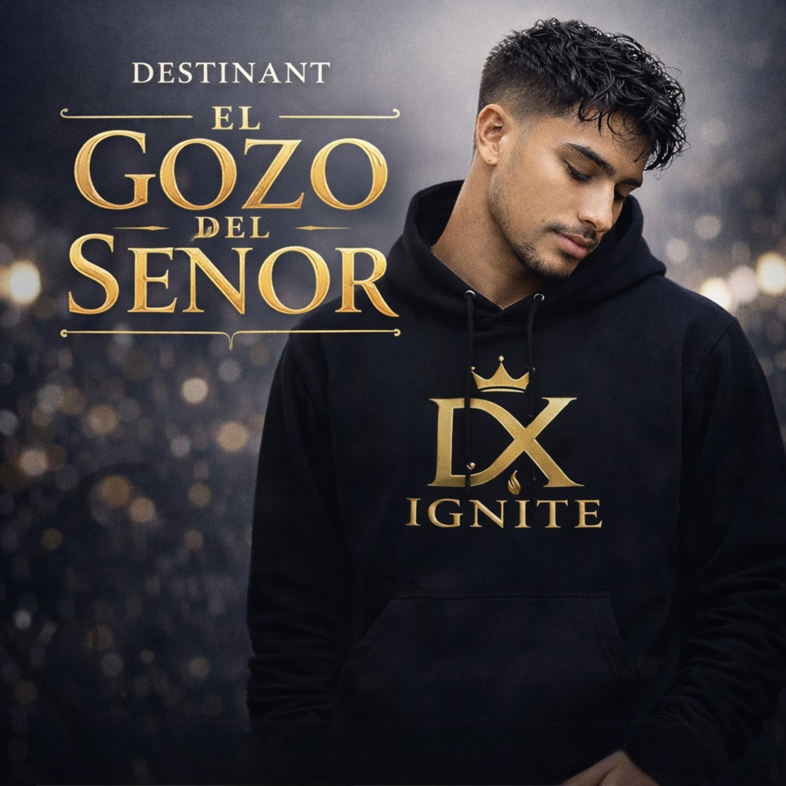 El gozo del Señor artwork