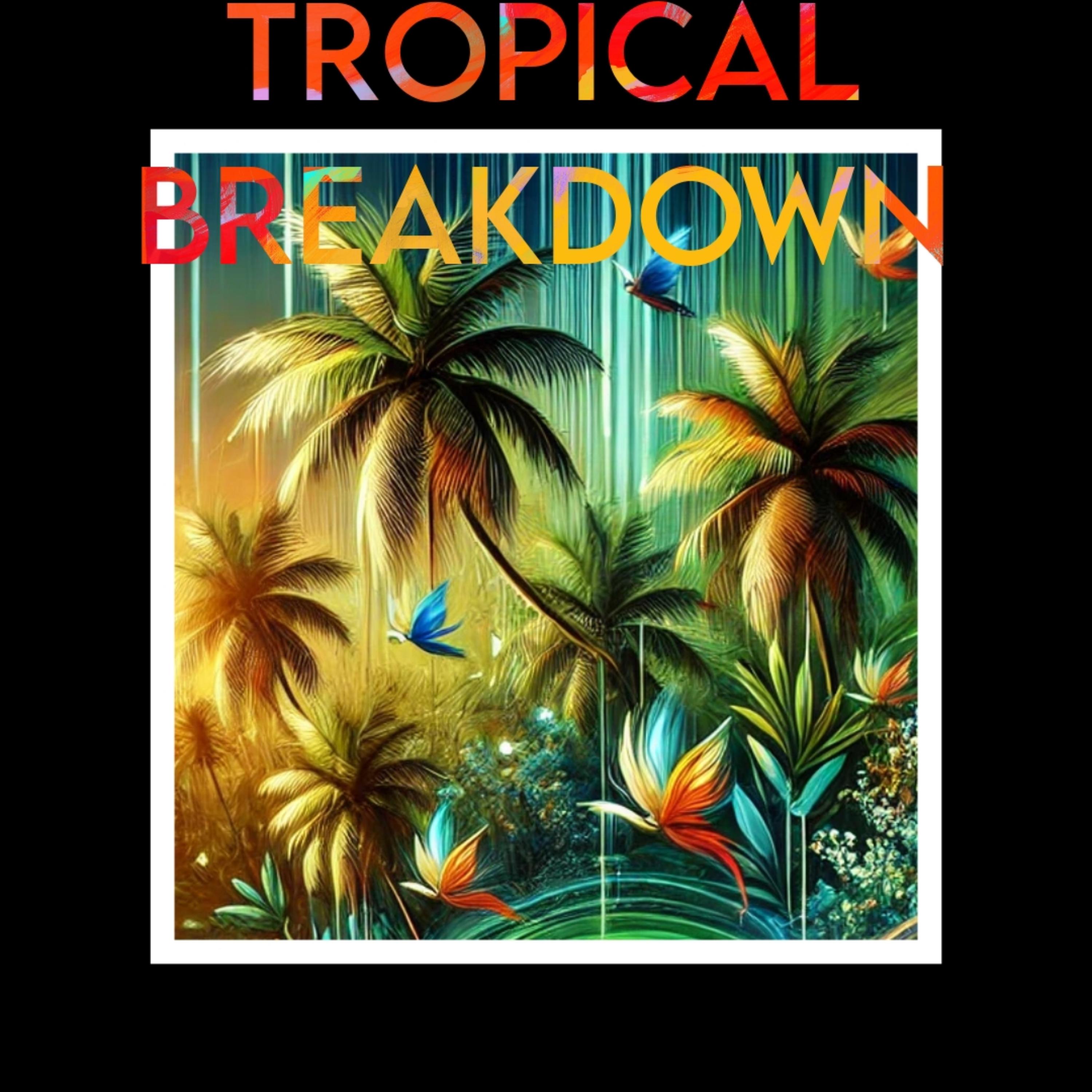 TROPICAL BREAKDOWN artwork