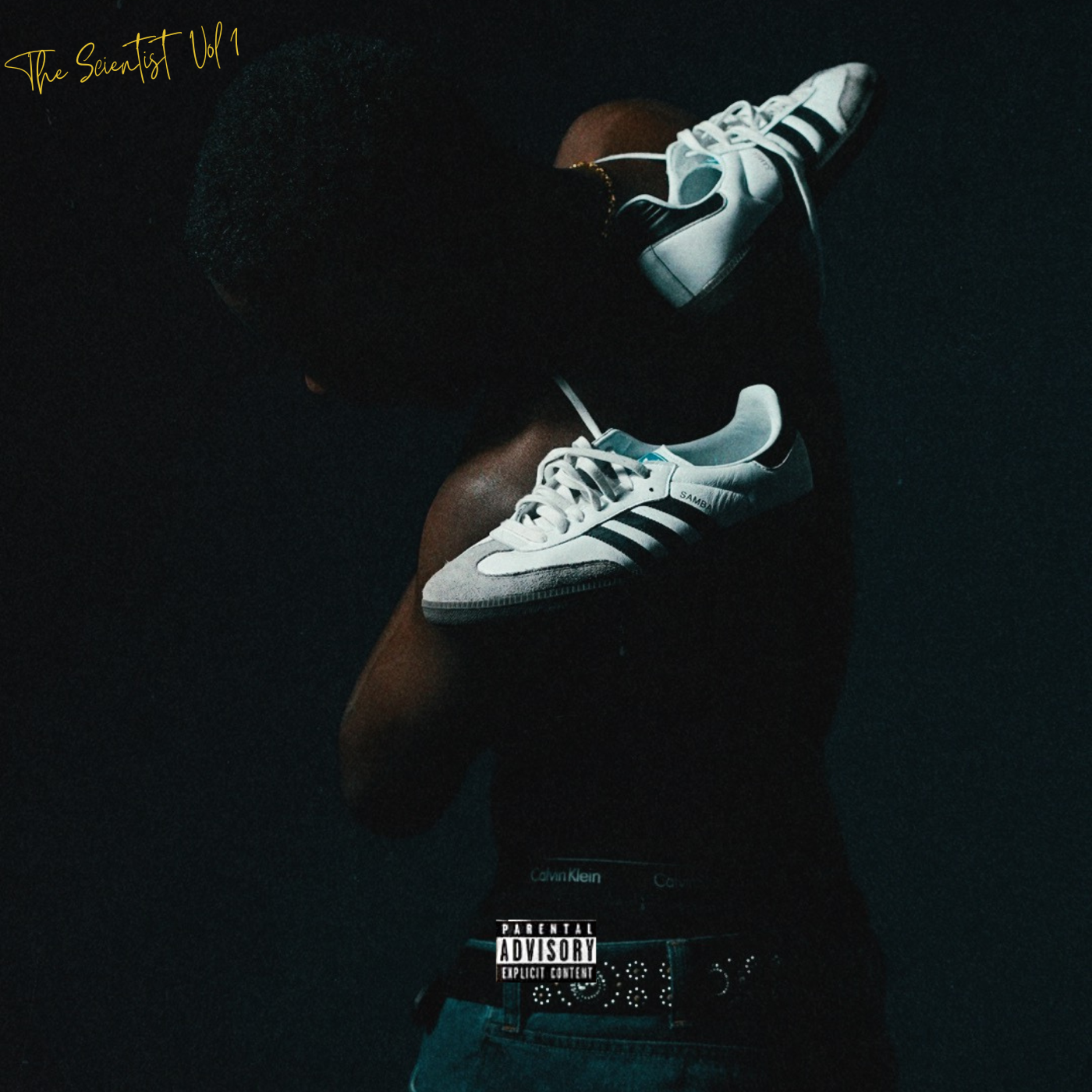The Scientist Vol. 1 artwork