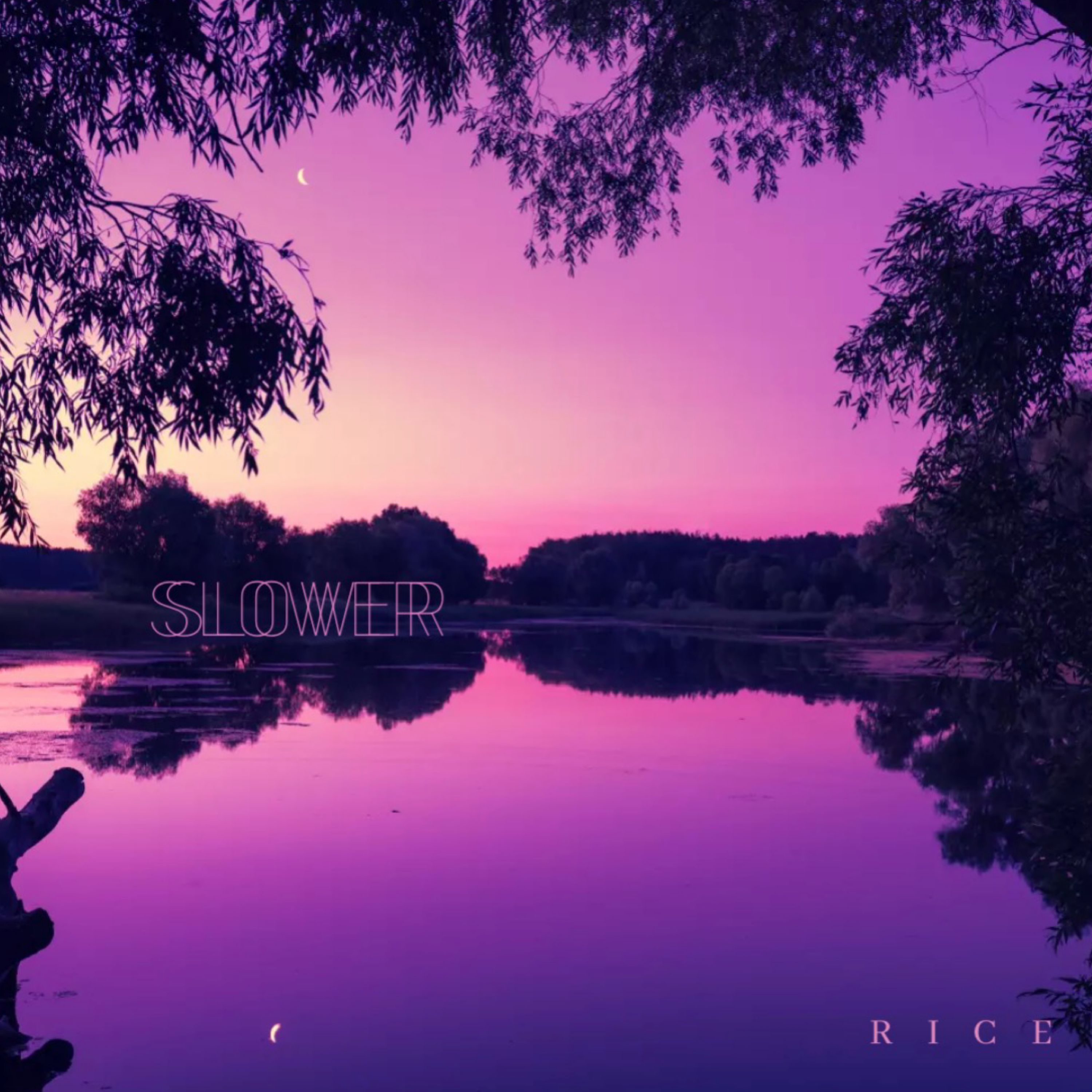 Slower by RICE / DJ Bucket cover art