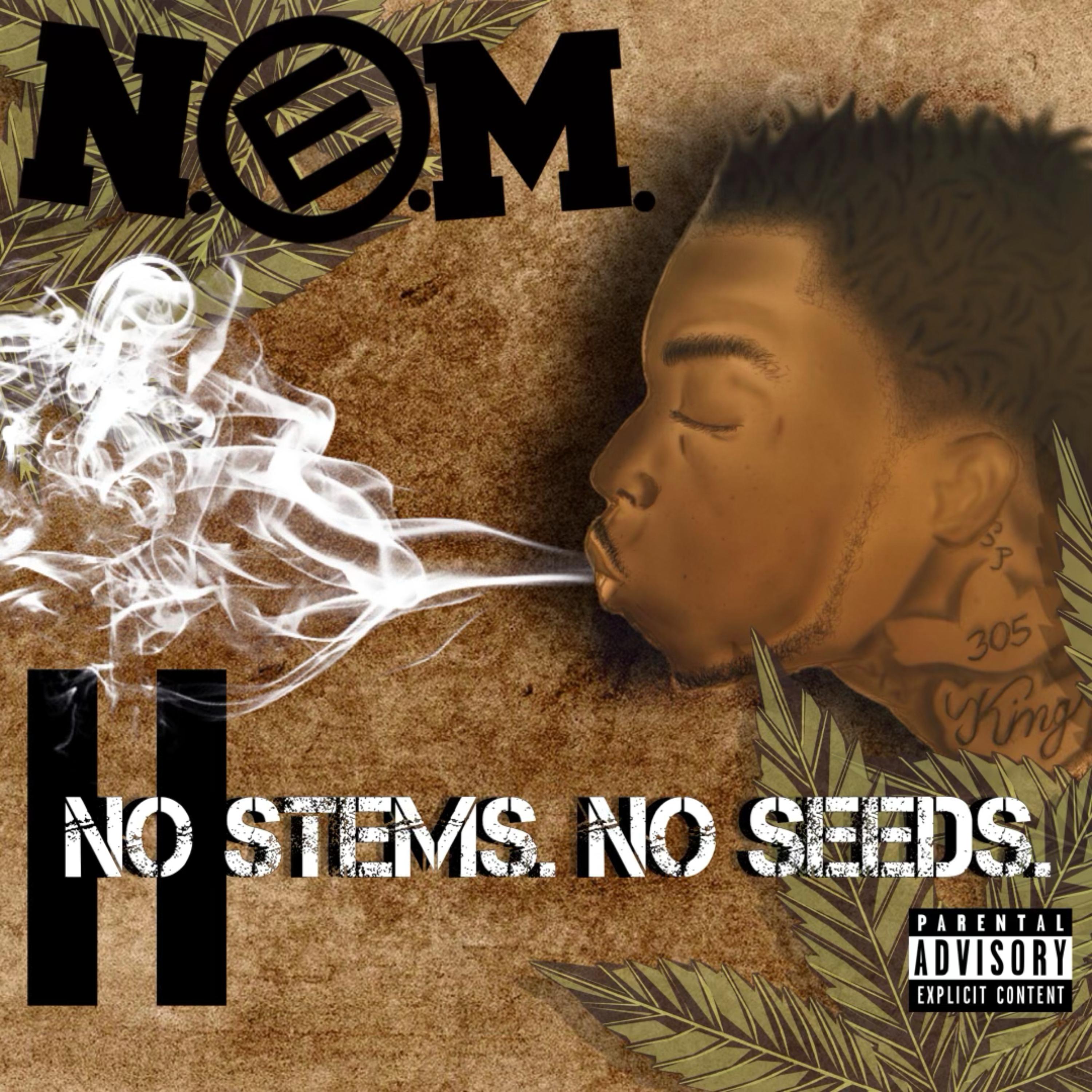 No Stems No Seeds 2 artwork