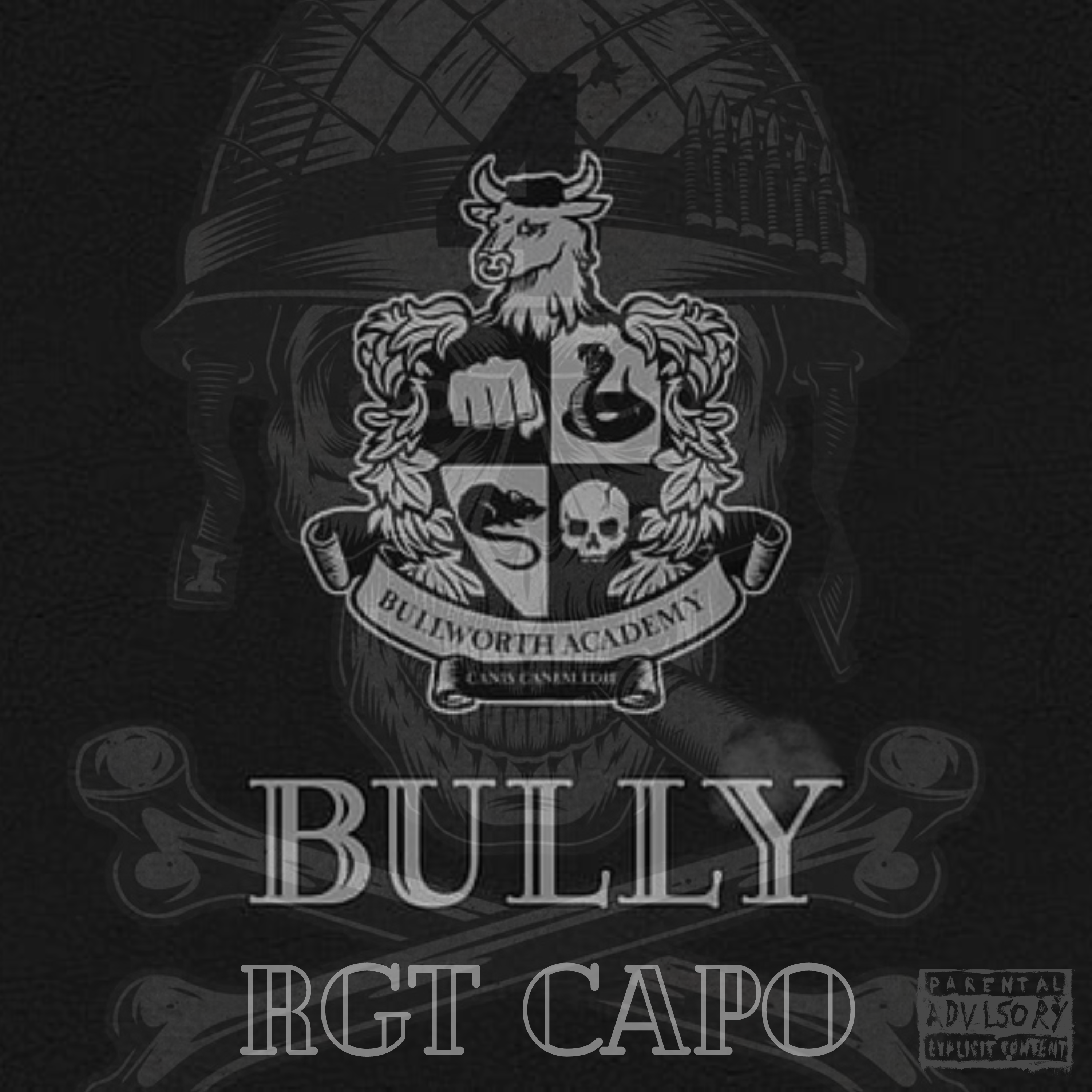 Bully artwork