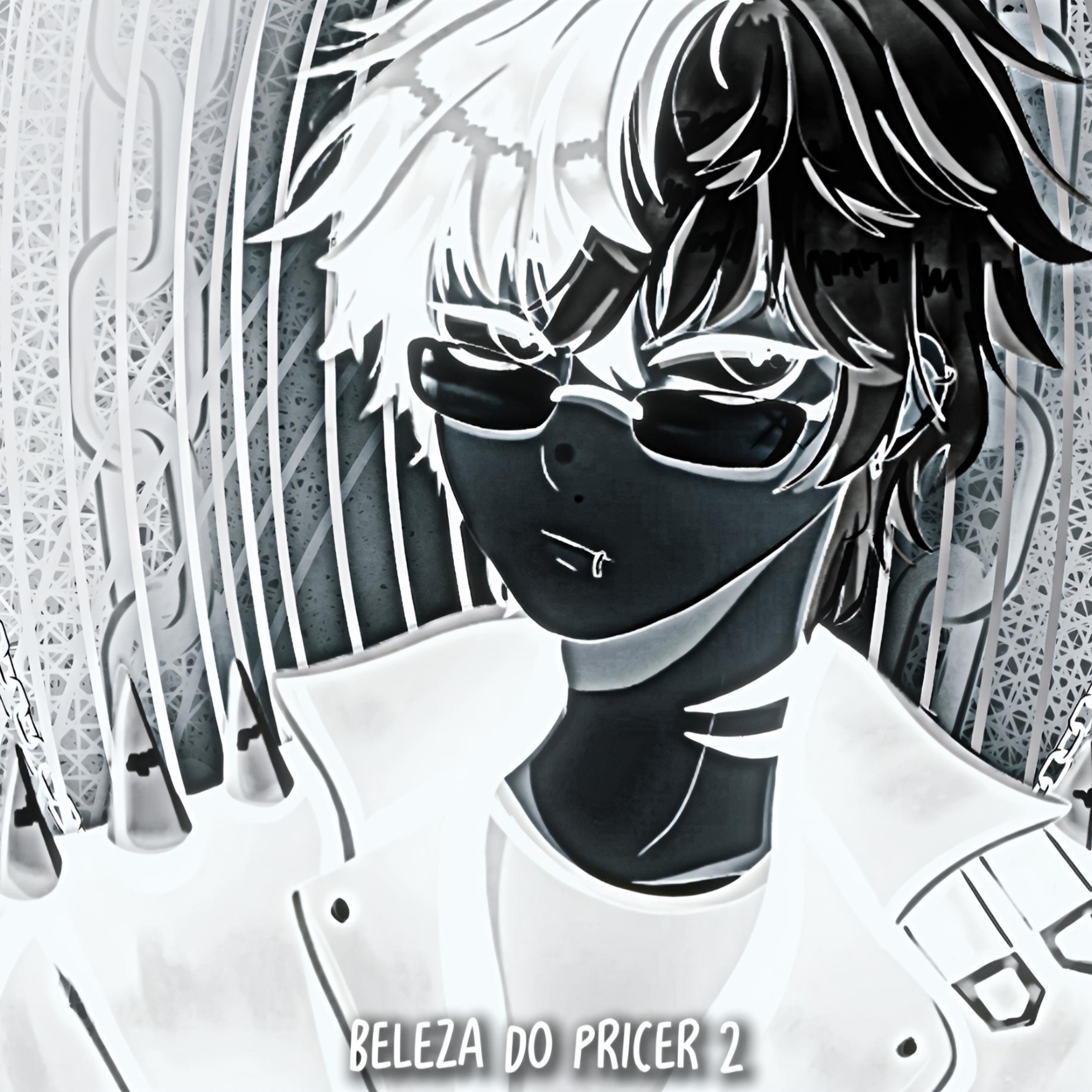 BELEZA DO PRICER 2 artwork