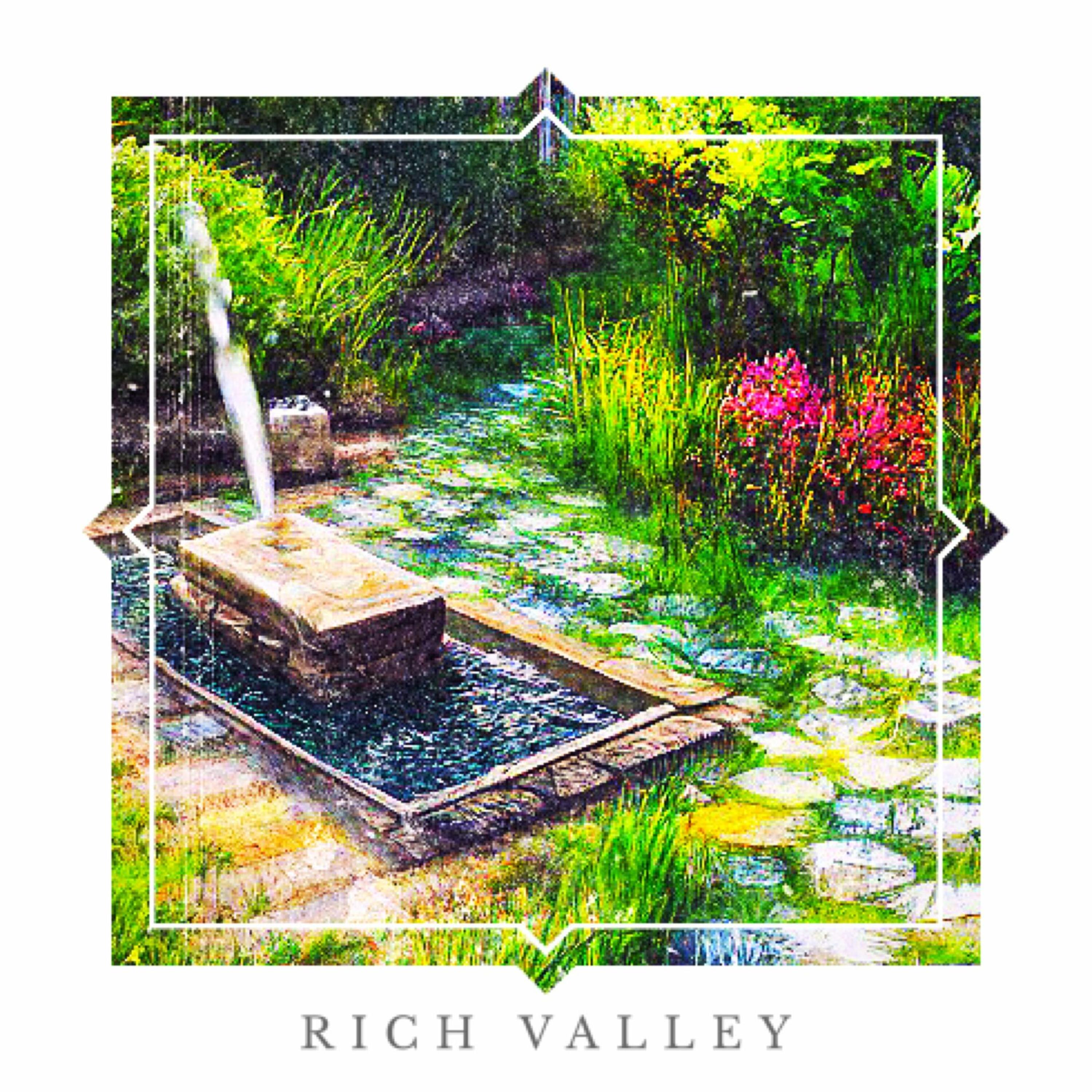 Rich Valley by ZVN cover art