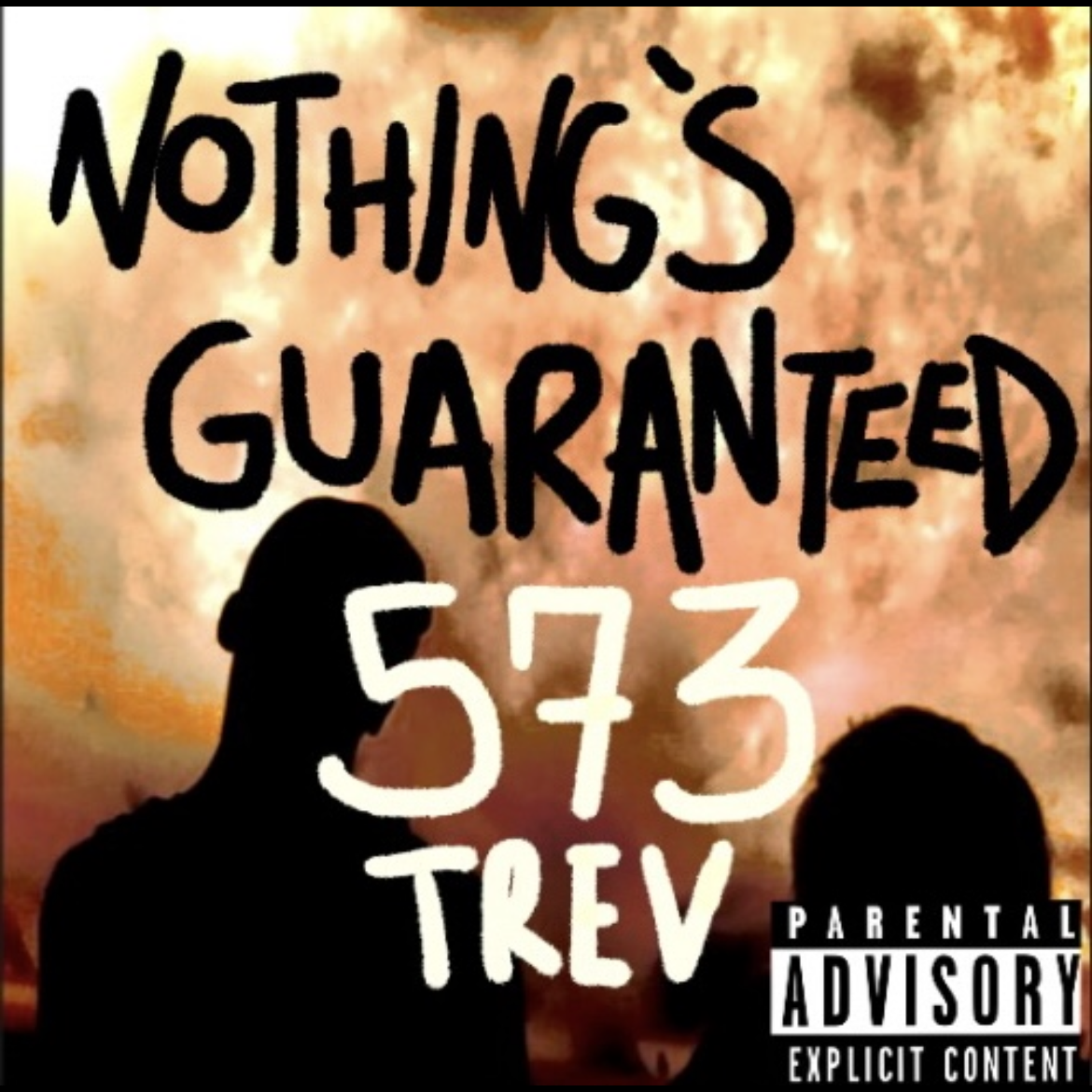 Nothings Guaranteed artwork