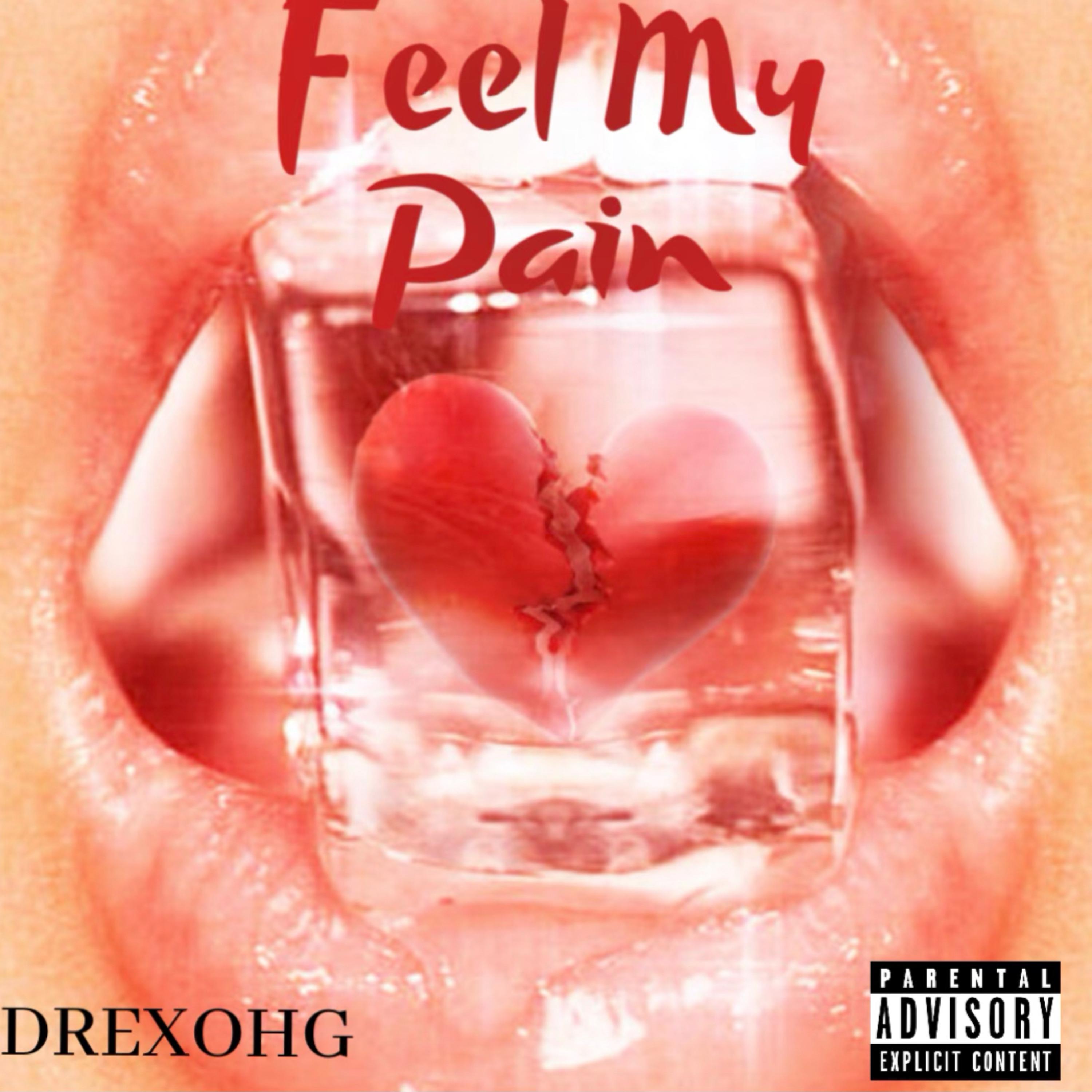 Feel My Pain artwork