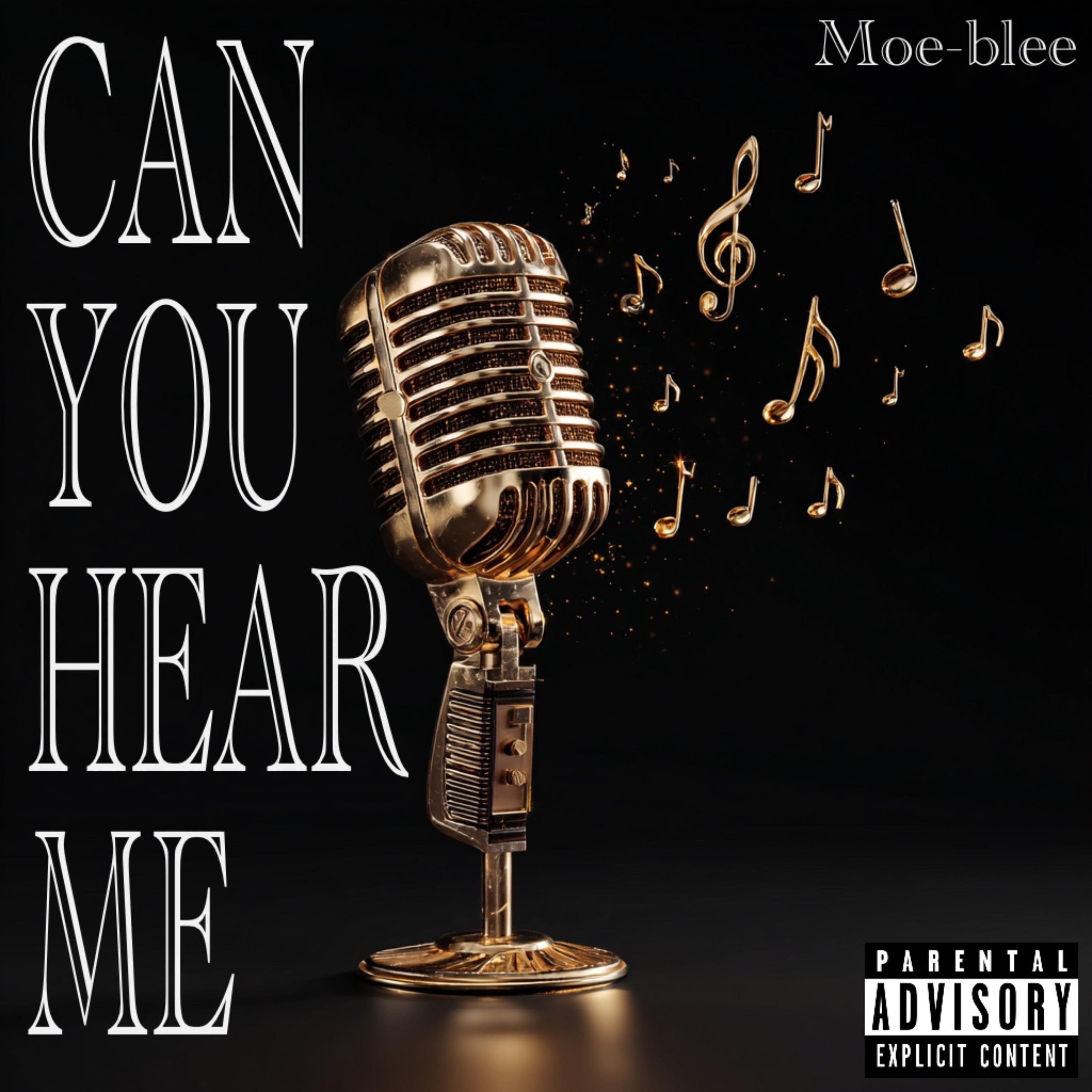 Can You Hear Me artwork