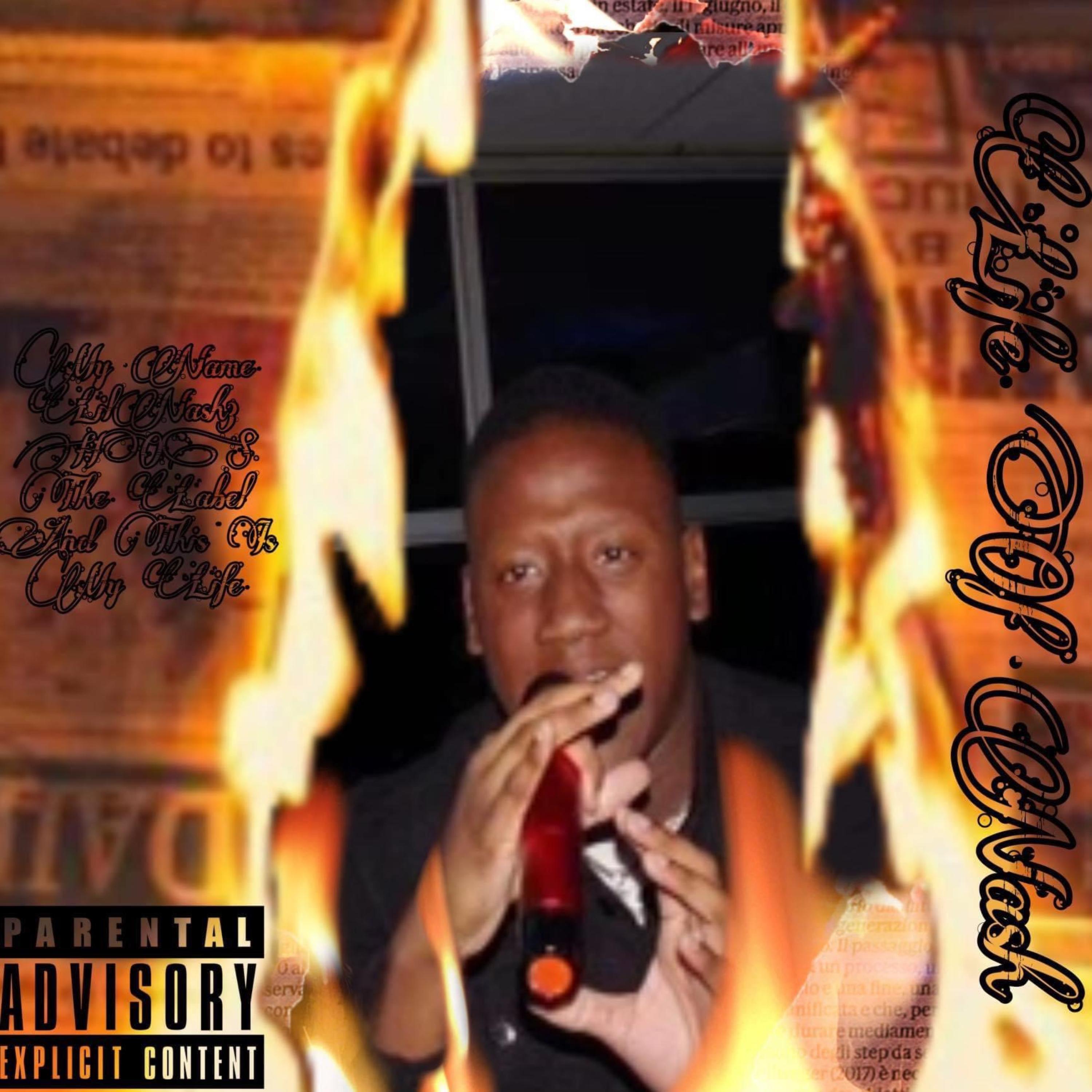 Life Of Nash artwork