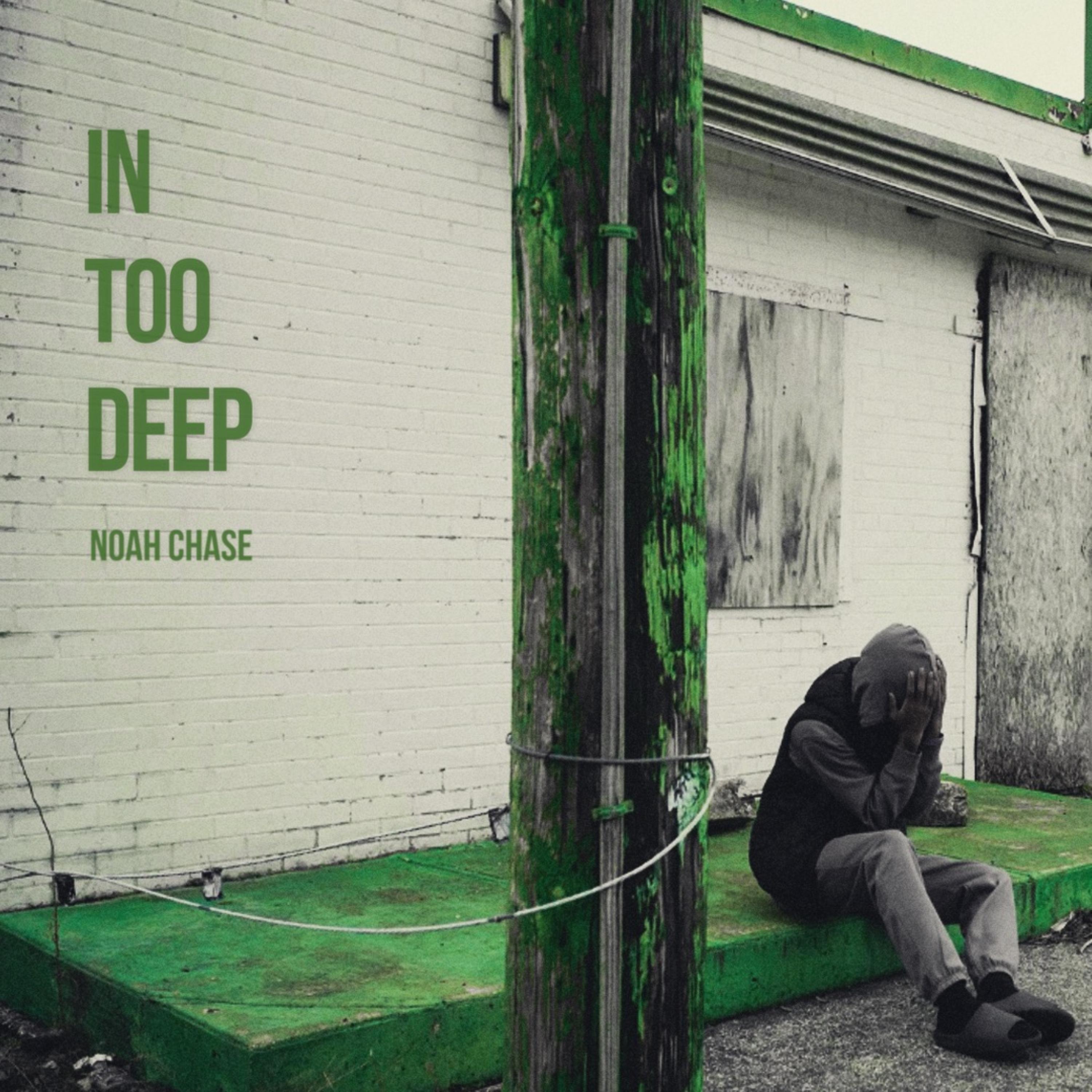 In Too Deep artwork